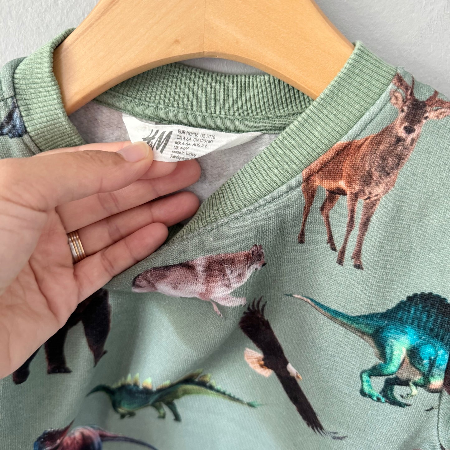 H&M / Green x animal sweatshirt / 4-6Y