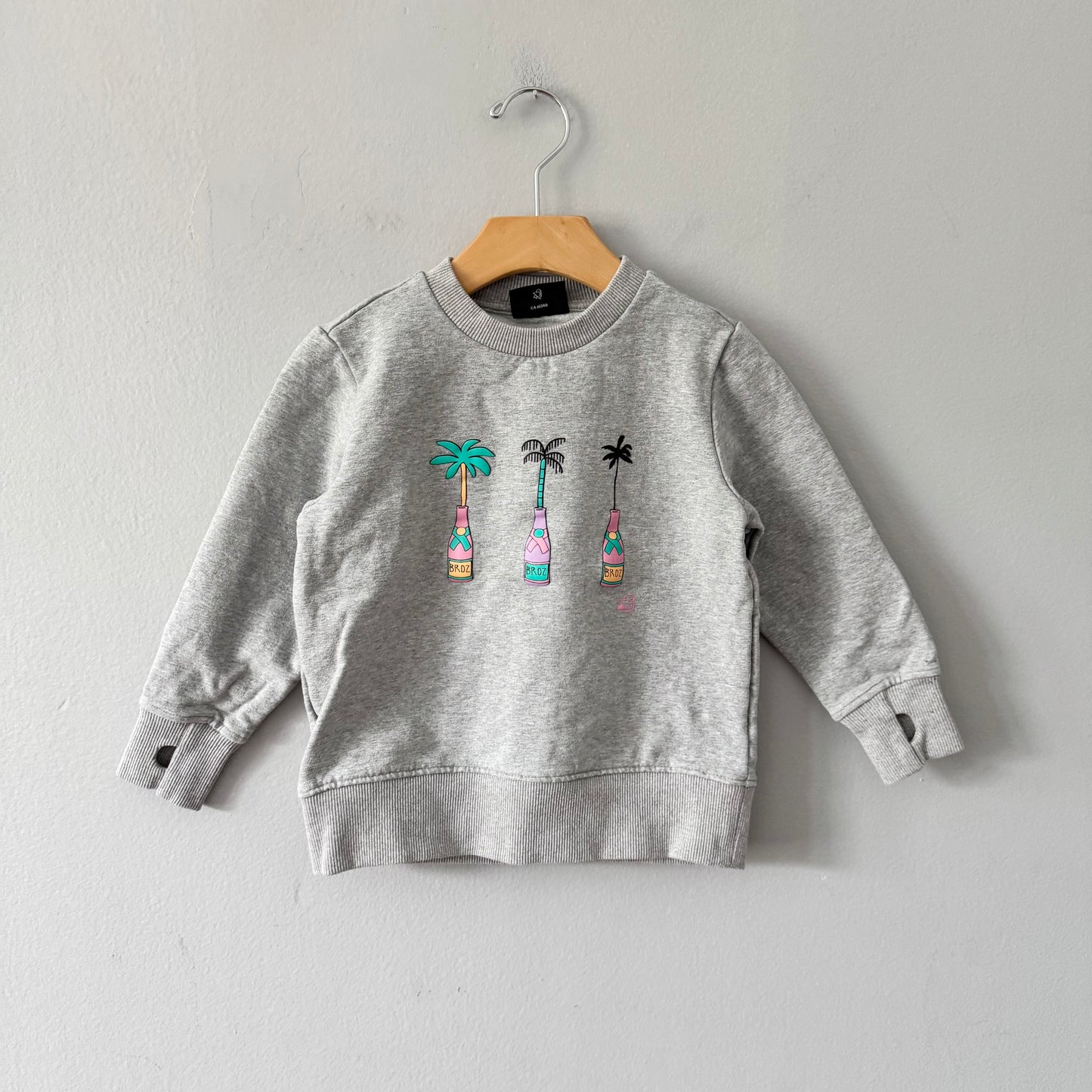Birdz / Light grey sweatshirt / 5Y