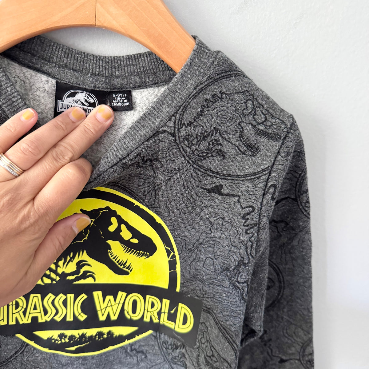 Jurassic World / Dark grey sweatshirt / 5-6Y