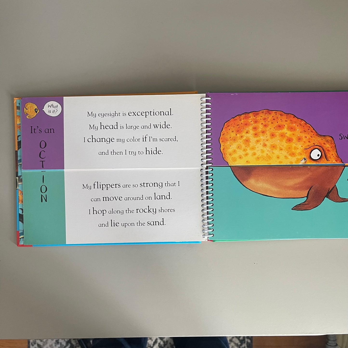 Flip Flap Ocean / Axel Scheffler