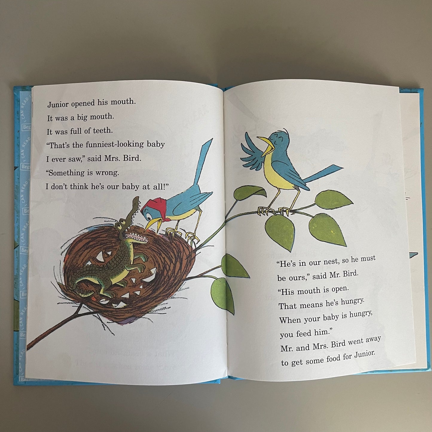 Flap Your Wings / P.D. Eastman