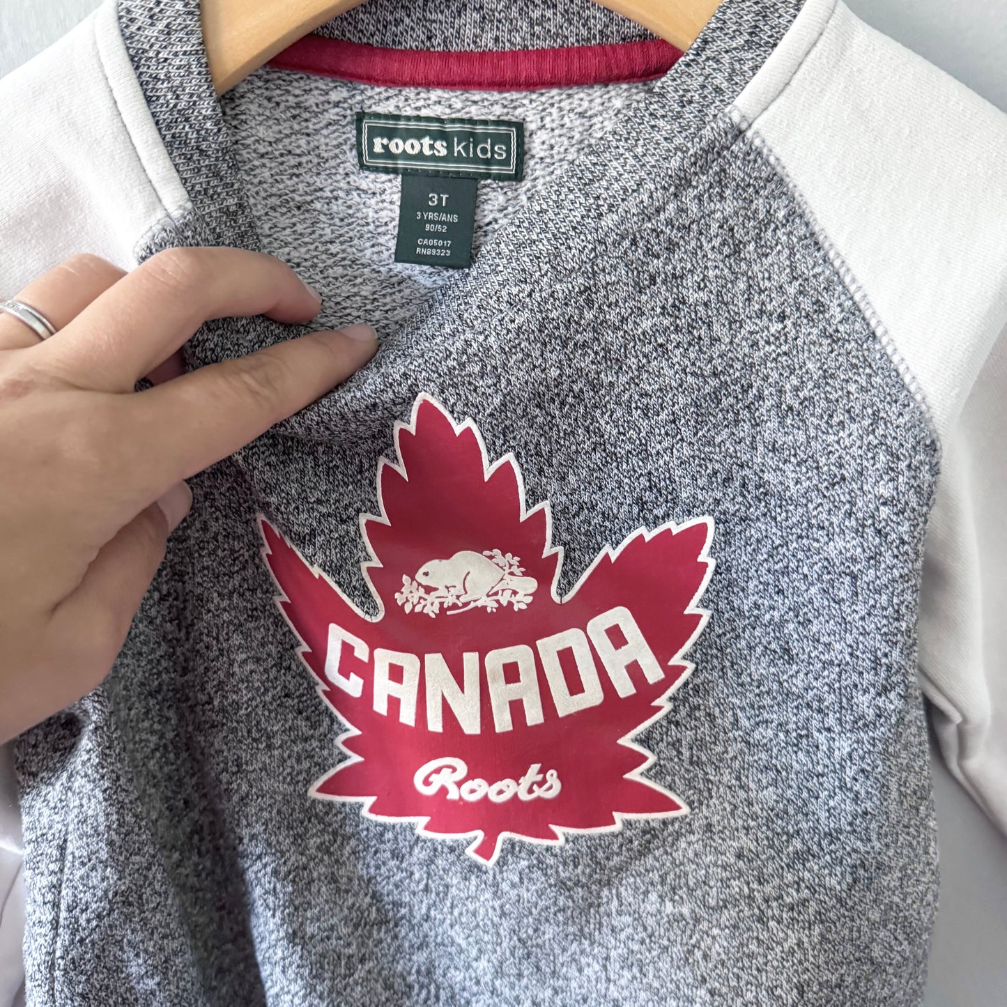 Roots / Raglan crew dress / 3T
