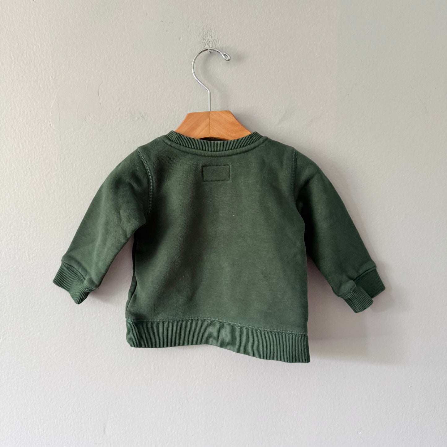 Roots / Green sweatshirt / 6-12M