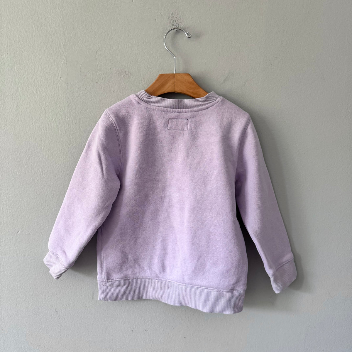 Roots / Lavender sweatshirt / 5T