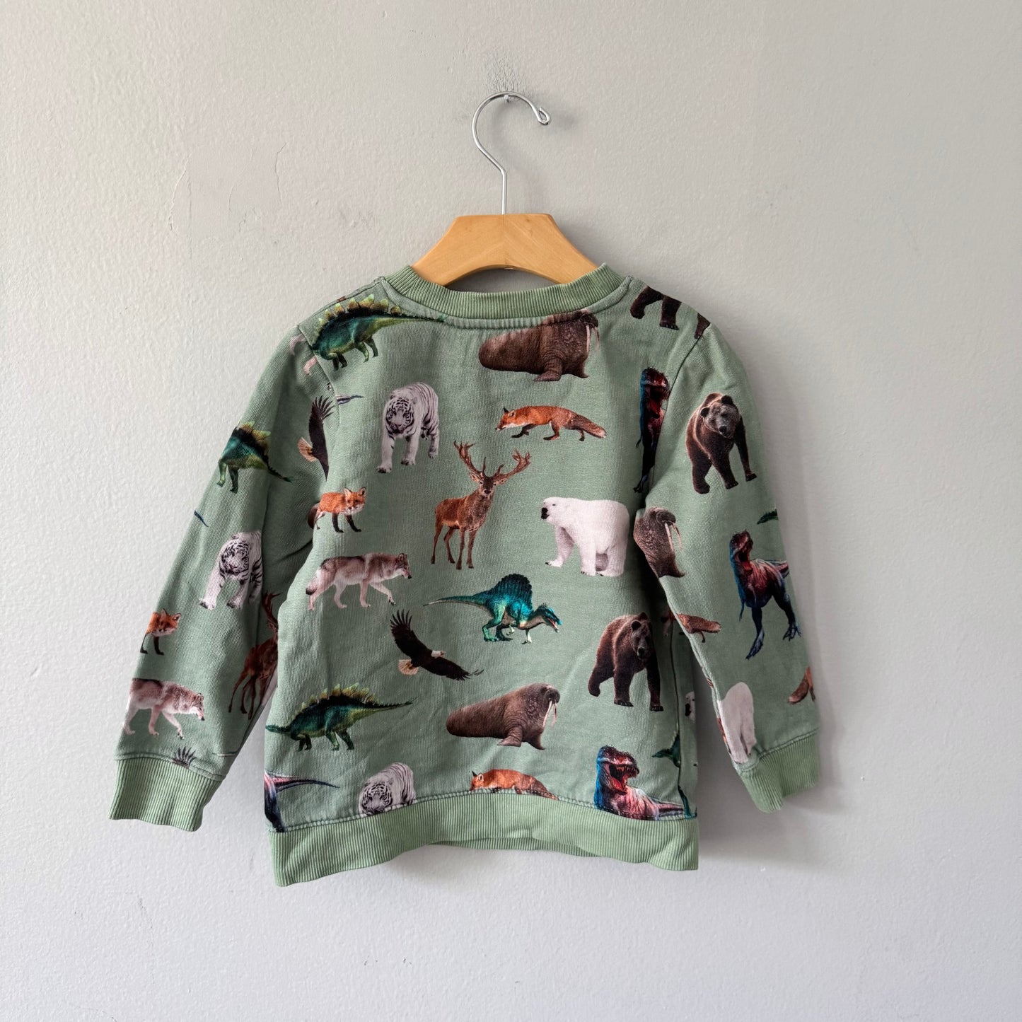 H&M / Green x animal sweatshirt / 4-6Y
