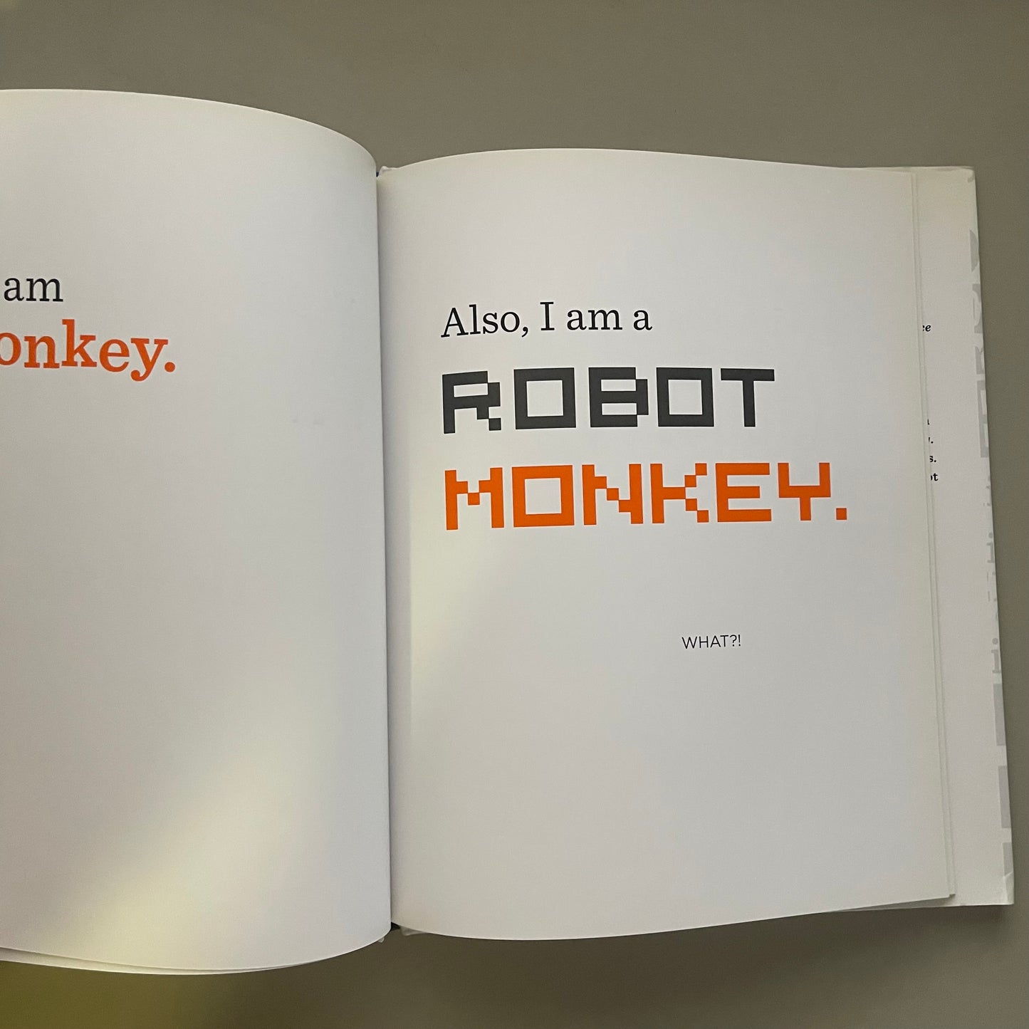 The Book With No Pictures / B.J. Novak