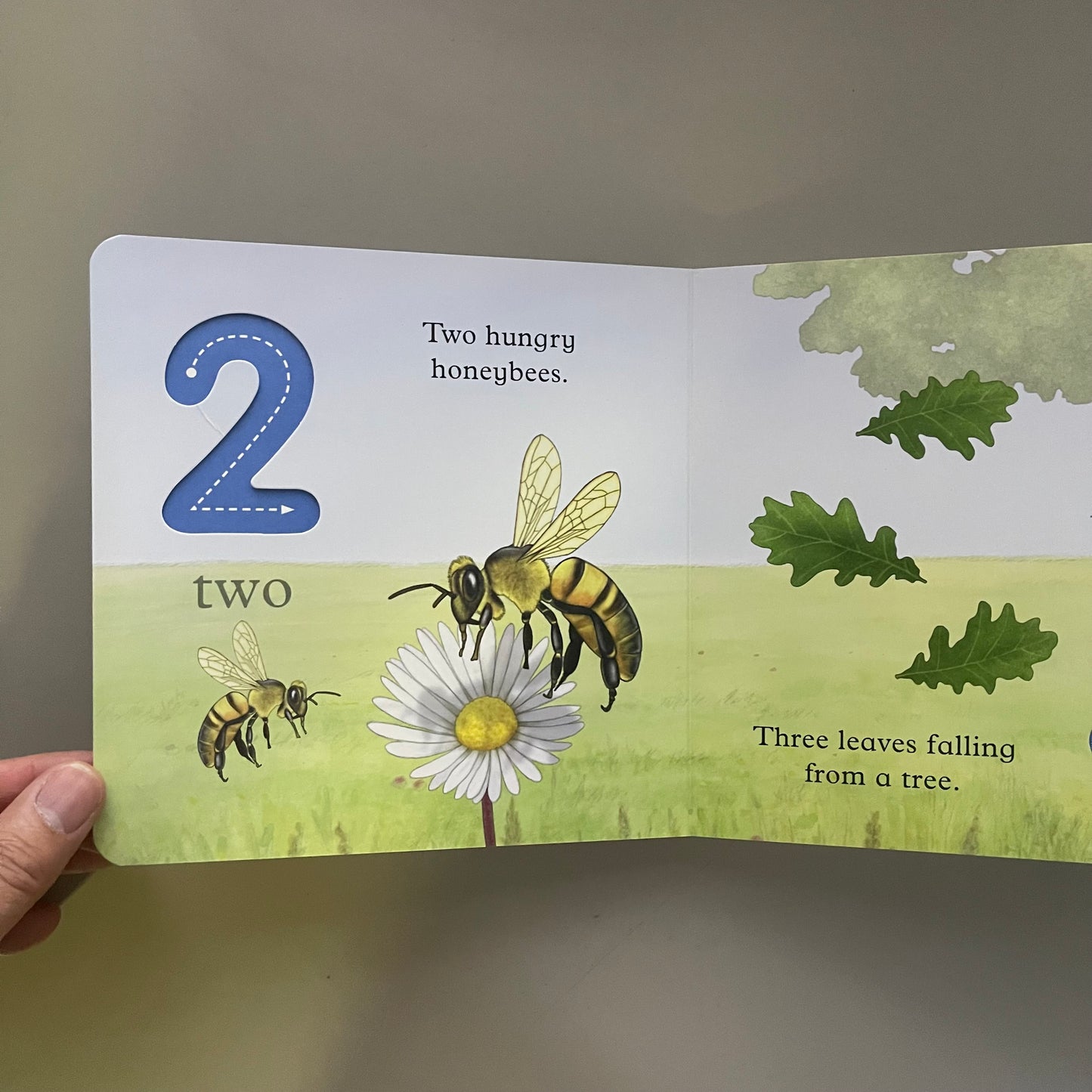 We're Going on a Bear Hunt My First 1 2 3