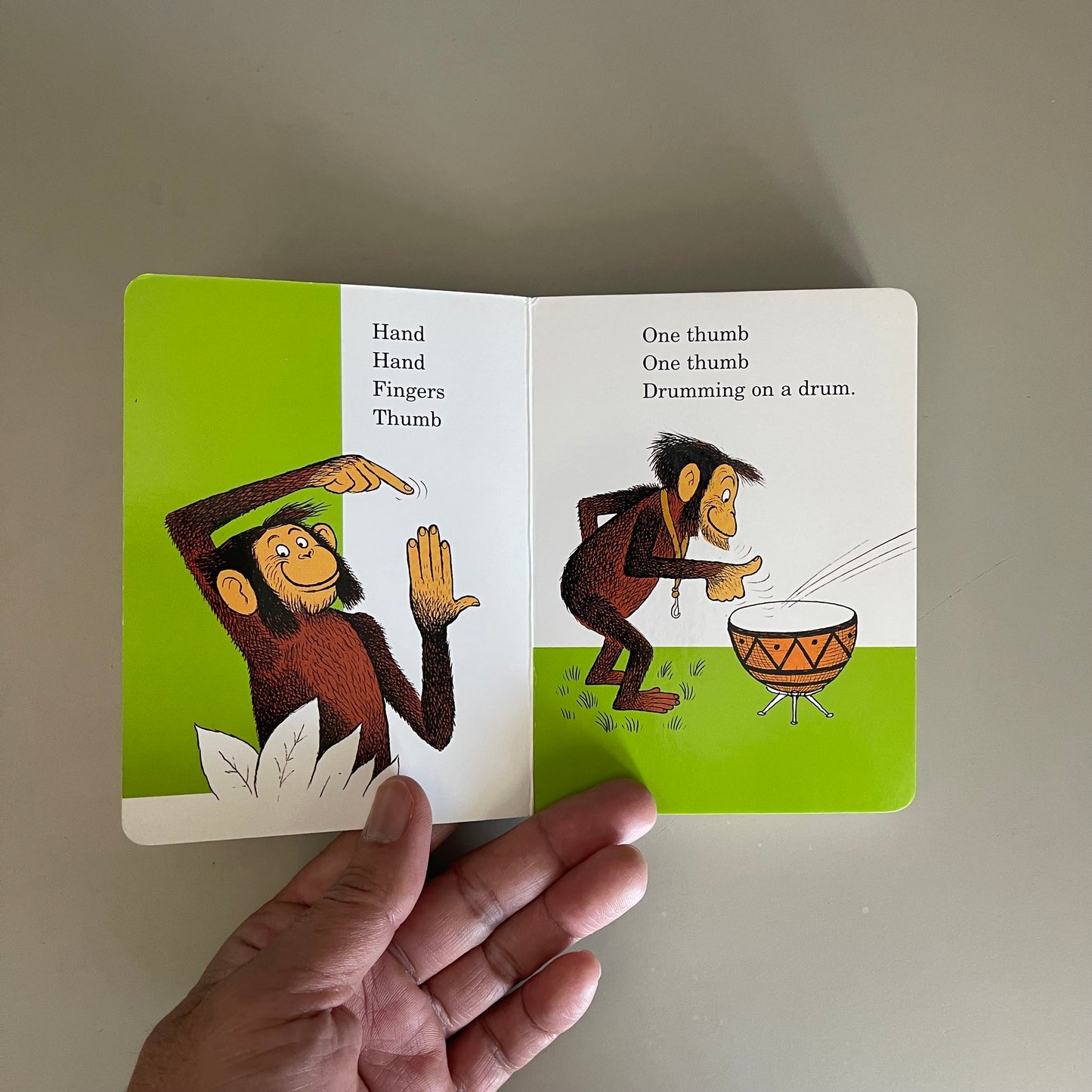 Hand, Hand, Fingers, Thumb / Al Perkins