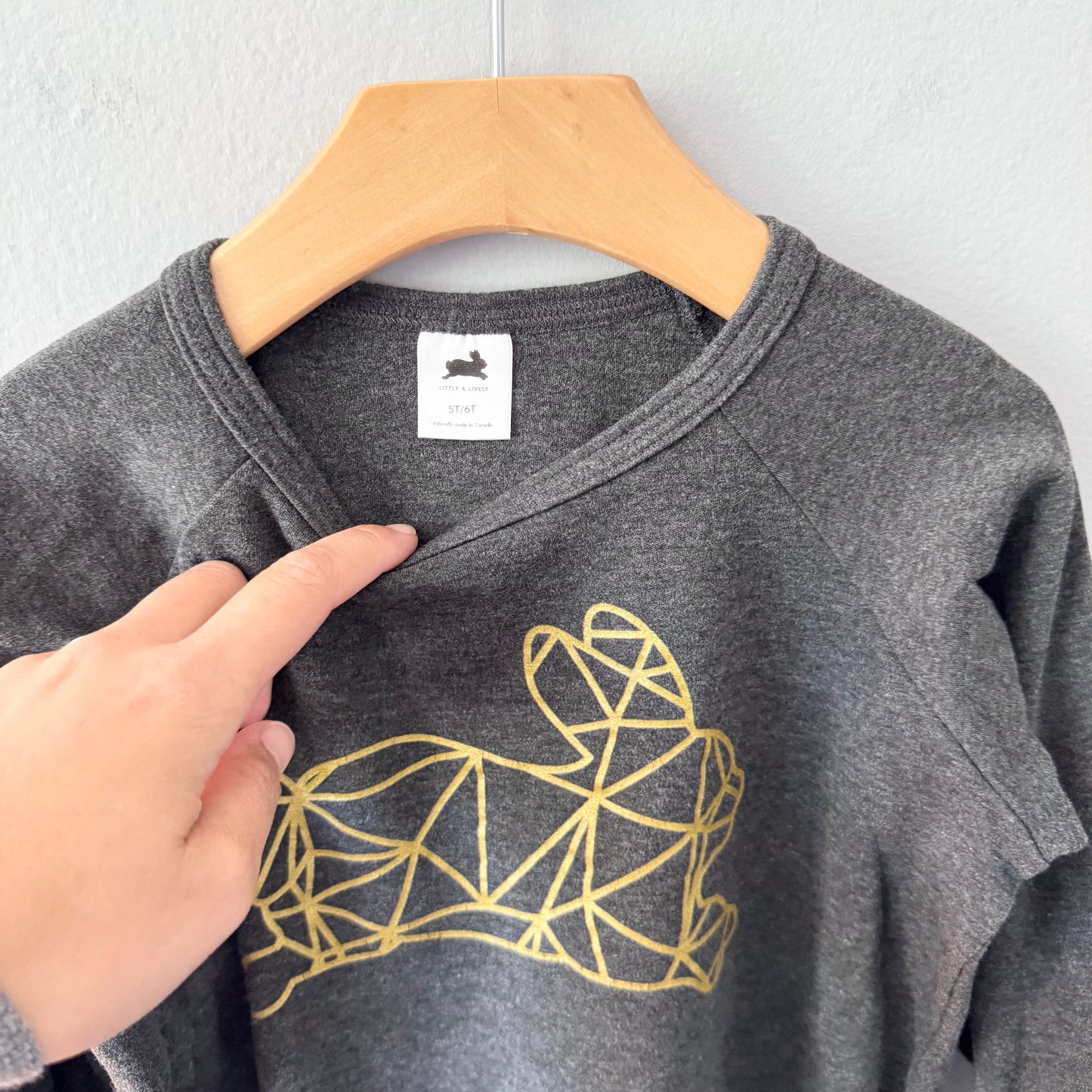 Little & Lively / Dark grey x bunny long sleeve / 5-6T