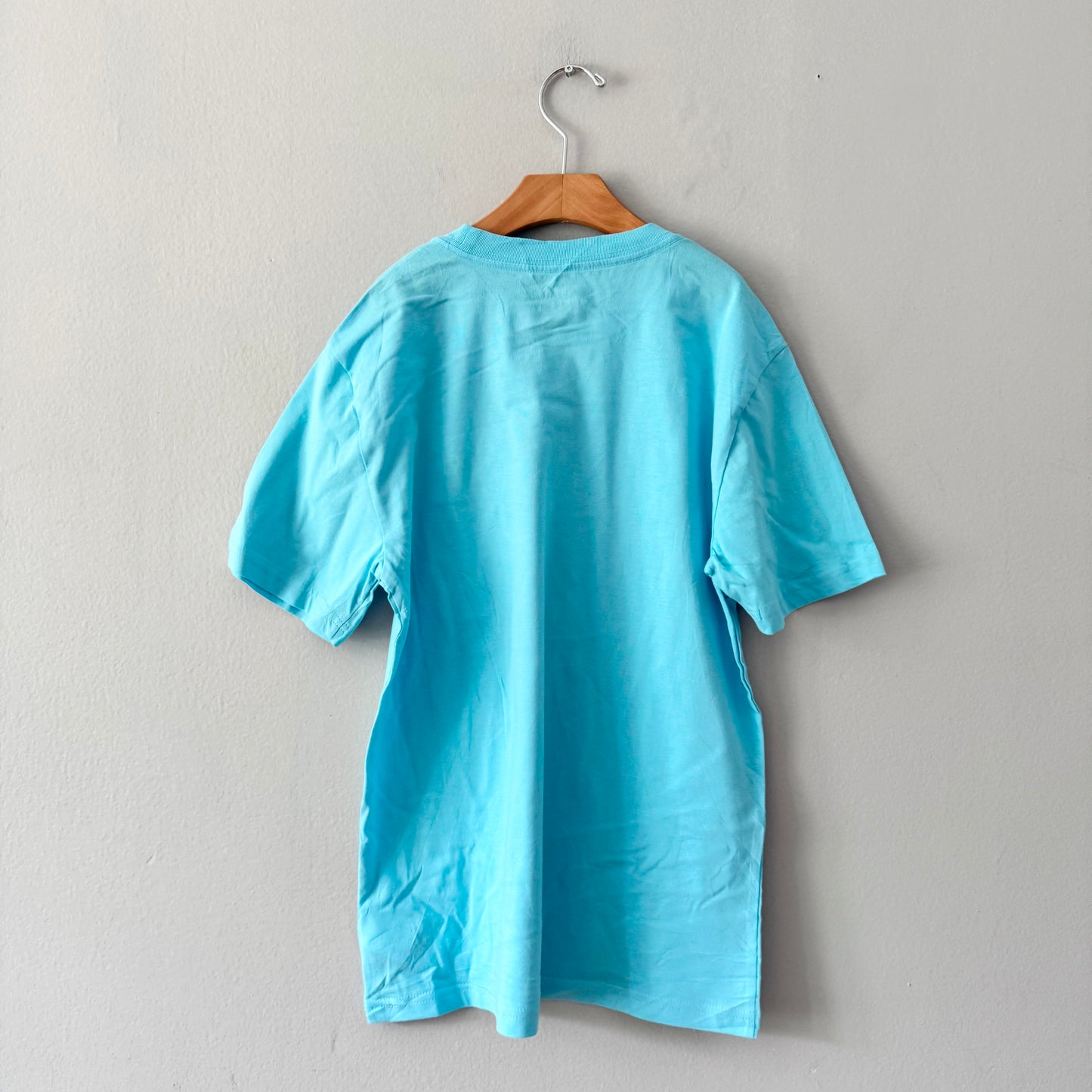 Polo Ralph Lauren / Sky blue T-shirt / 10-12Y - New with tag