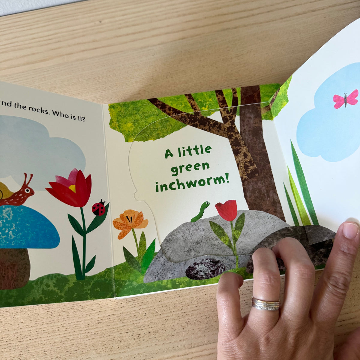 Inch by Inch - A Lift-the-Flap Book