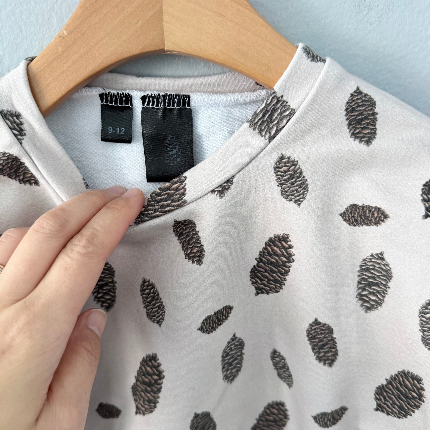 Unknown brand / Pinecones sweatshirt / 9-12M