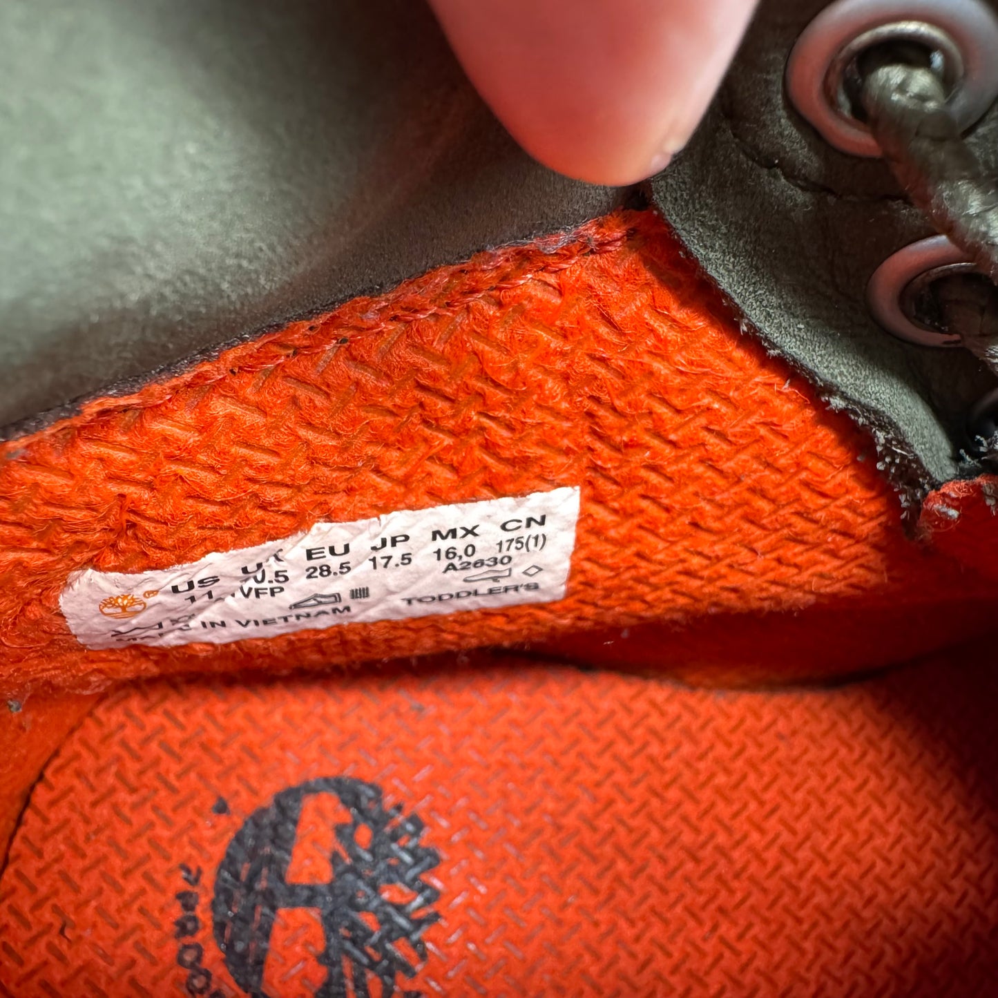 Timberland / Boots / US11
