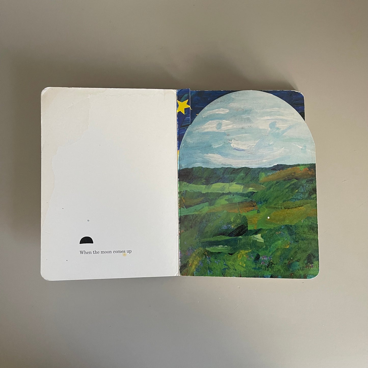 The Secret Birthday Message / Eric Carle