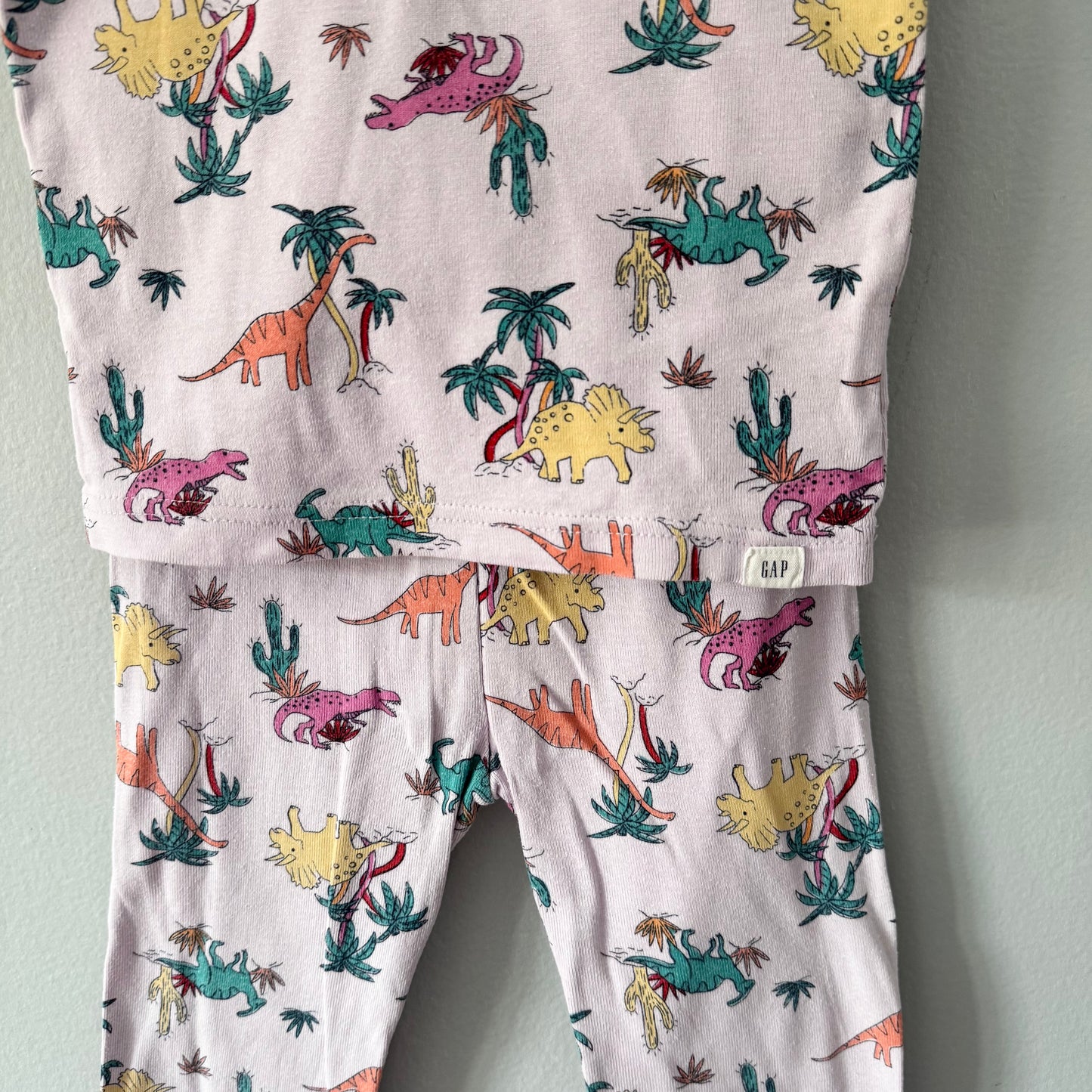 Gap / Lavender x dinosaur pajama set / 4Y
