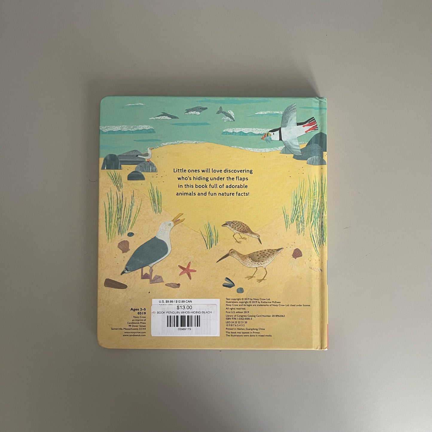 Who's Hiding at the Beach? / Katherine McEwen