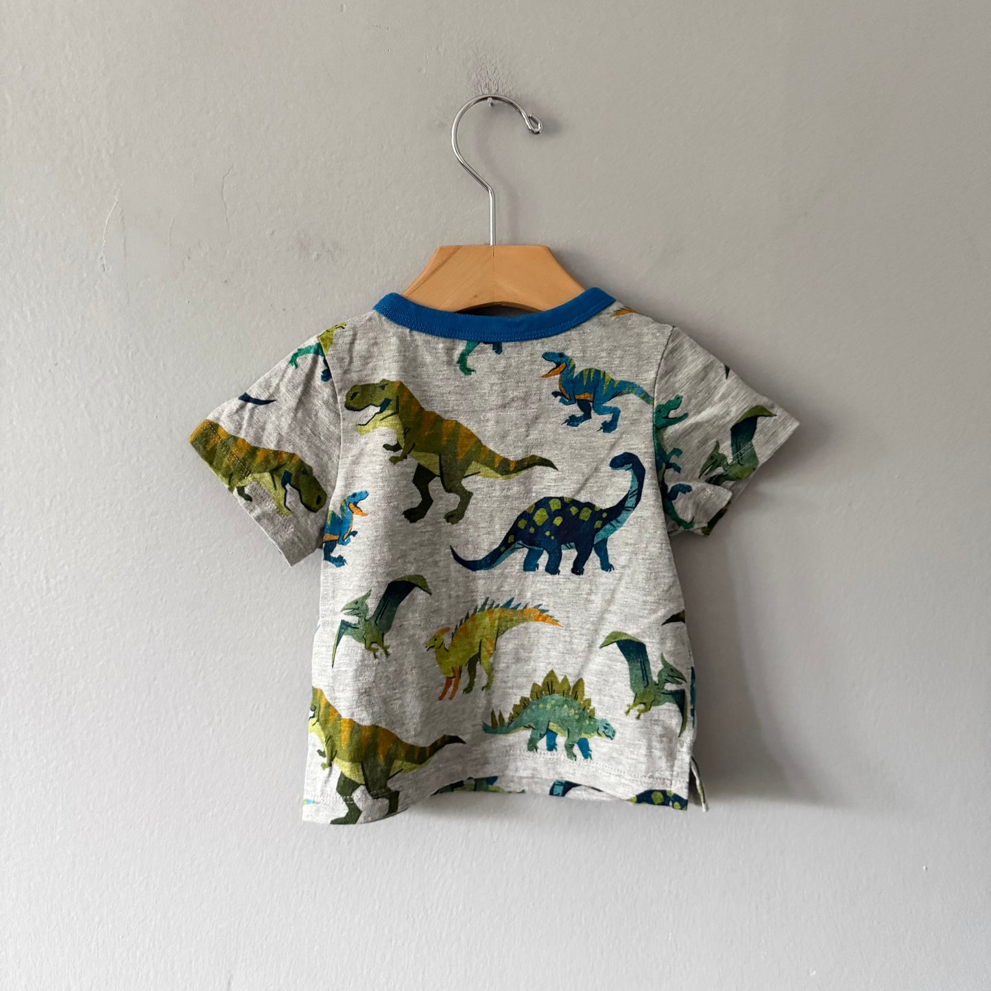 Hatley / Grey x dinosaur T-shirt / 9-12M