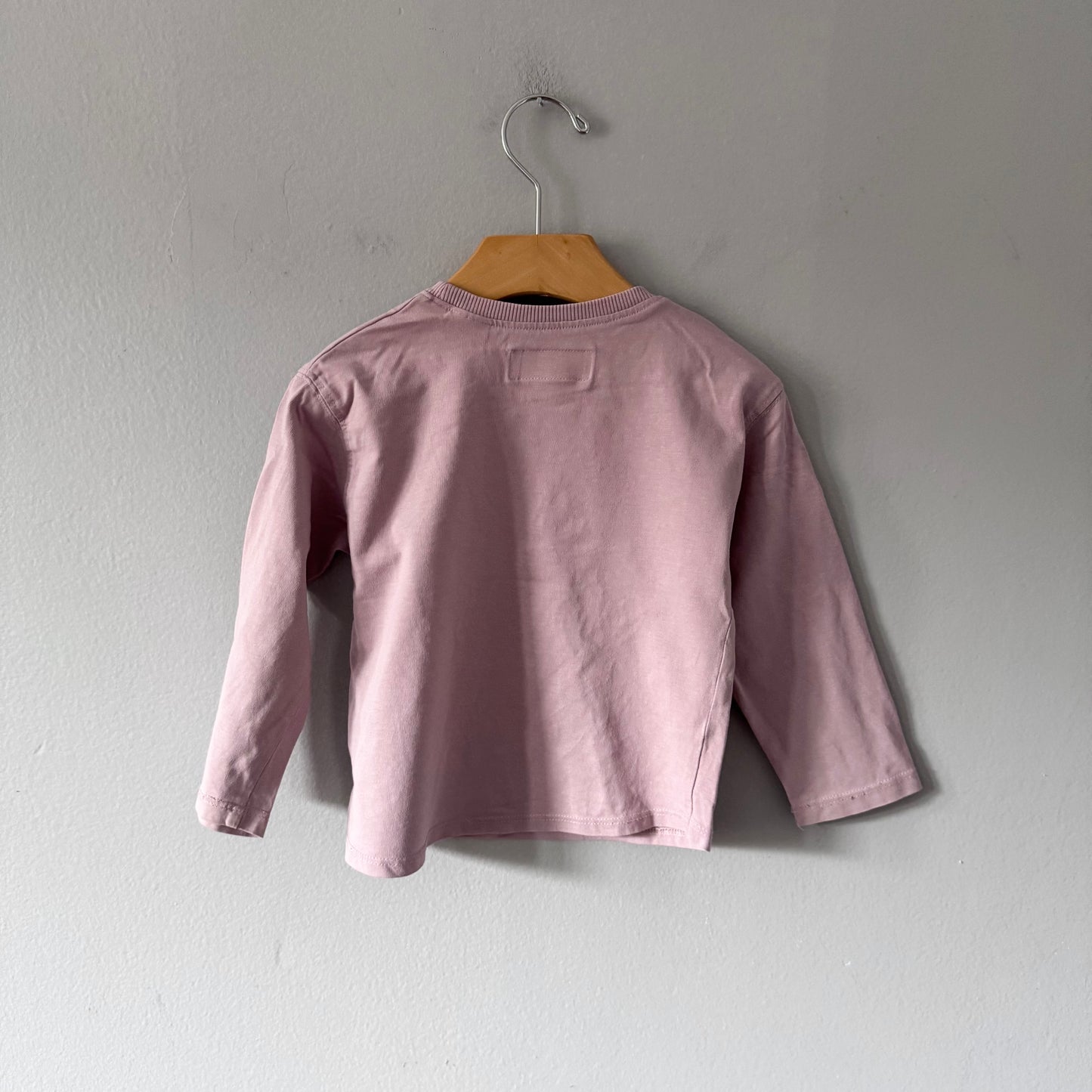 Zara / Smokey pink swan long sleeve / 3Y