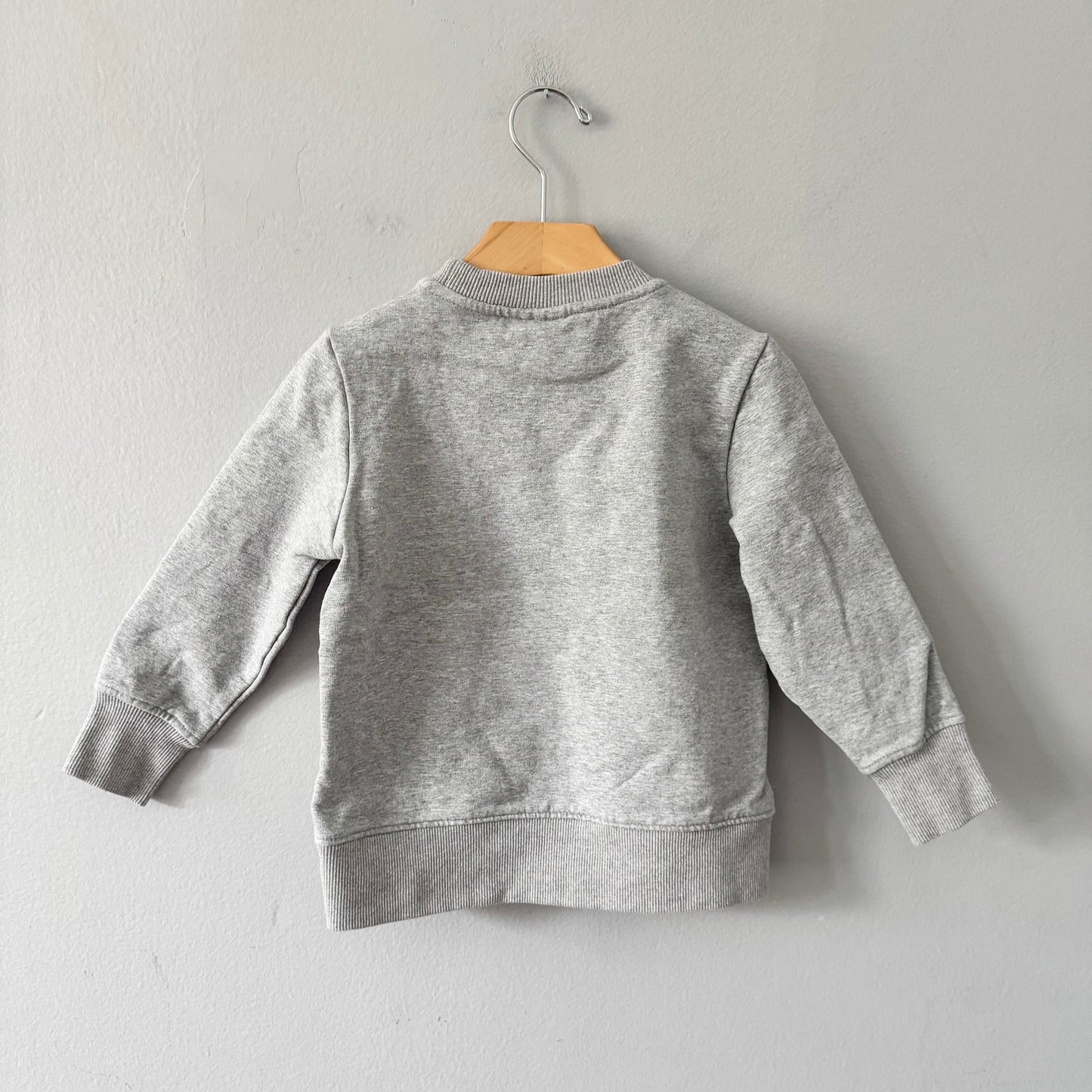 Birdz / Light grey sweatshirt / 5Y