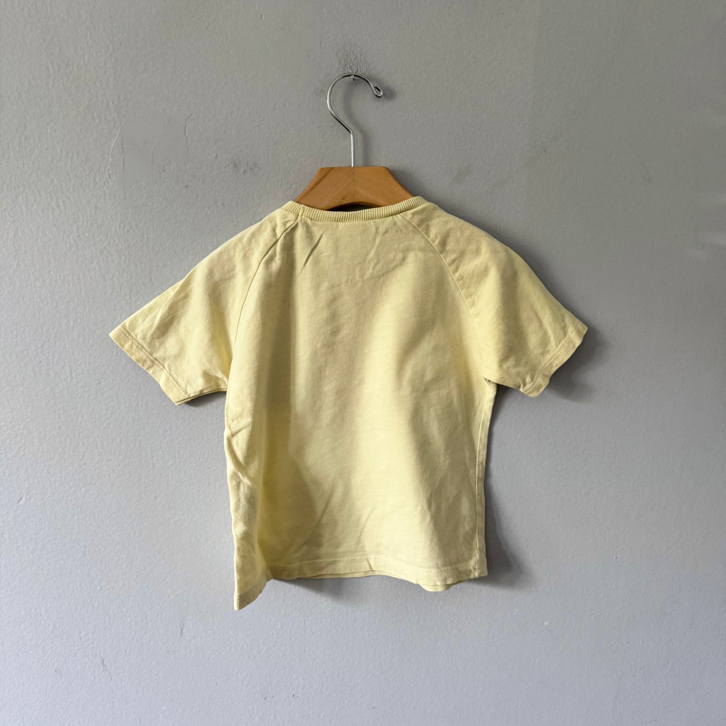 Zara / Yellow T-shirt / 18-24M