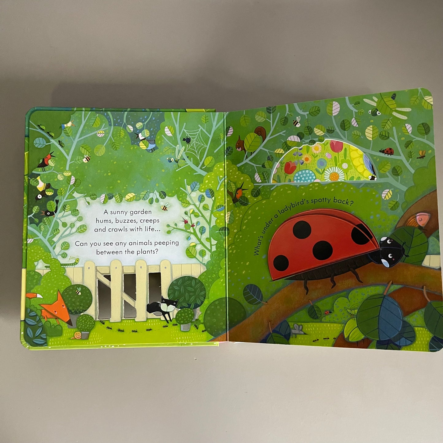 Usborne Peep Inside the Garden