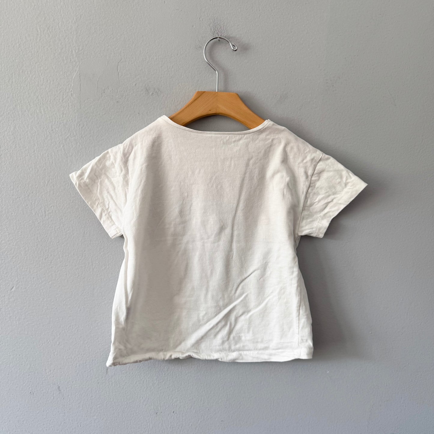 Zara / Super Explorer T-shirt / 4-5Y