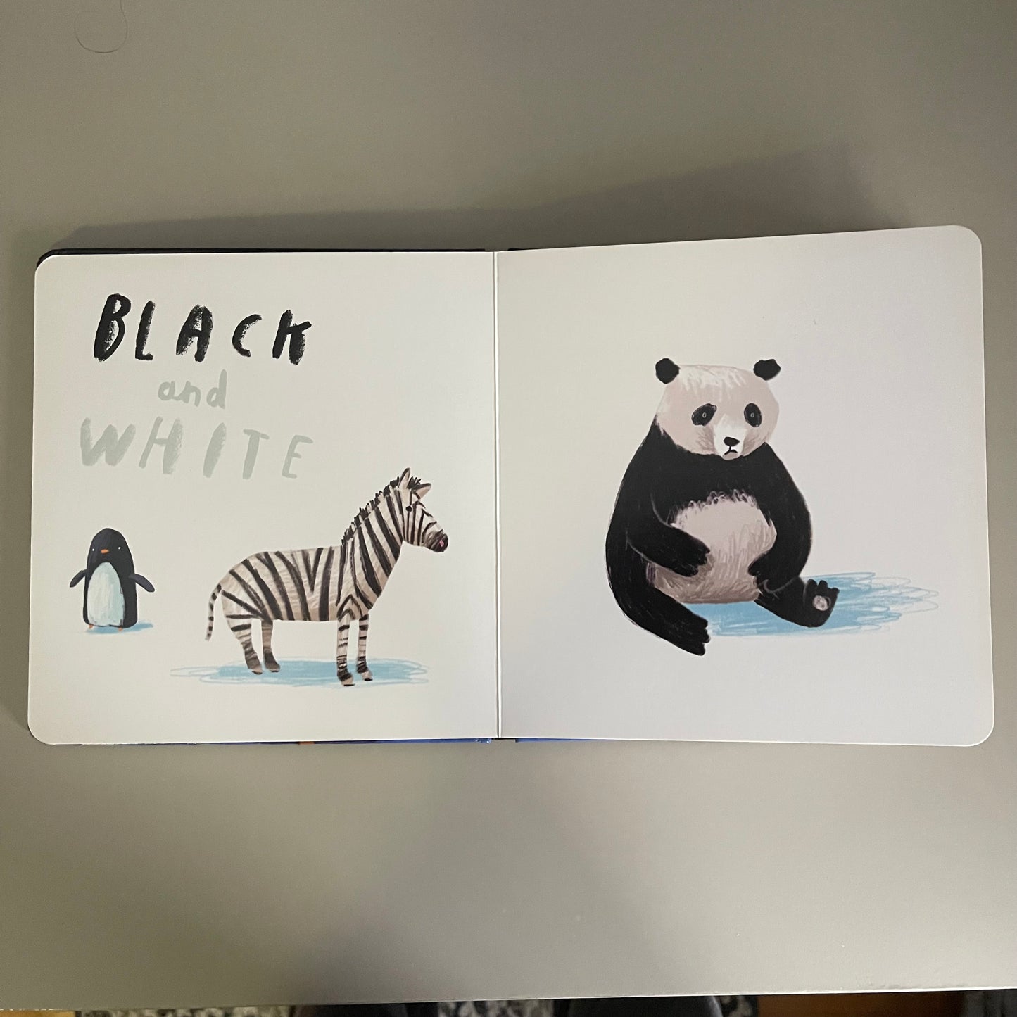 Nous sommes là - Le livre des couleurs / Oliver Jeffers
