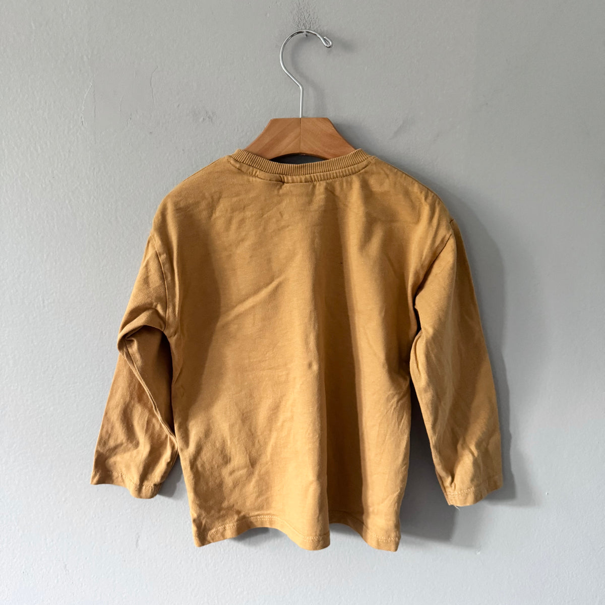 Zara / Light brown long sleeve / 3-4Y