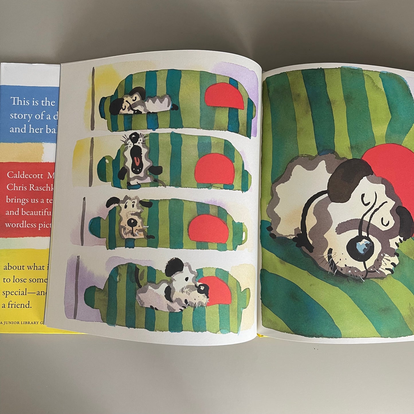 A Ball for Daisy / Chris Raschka
