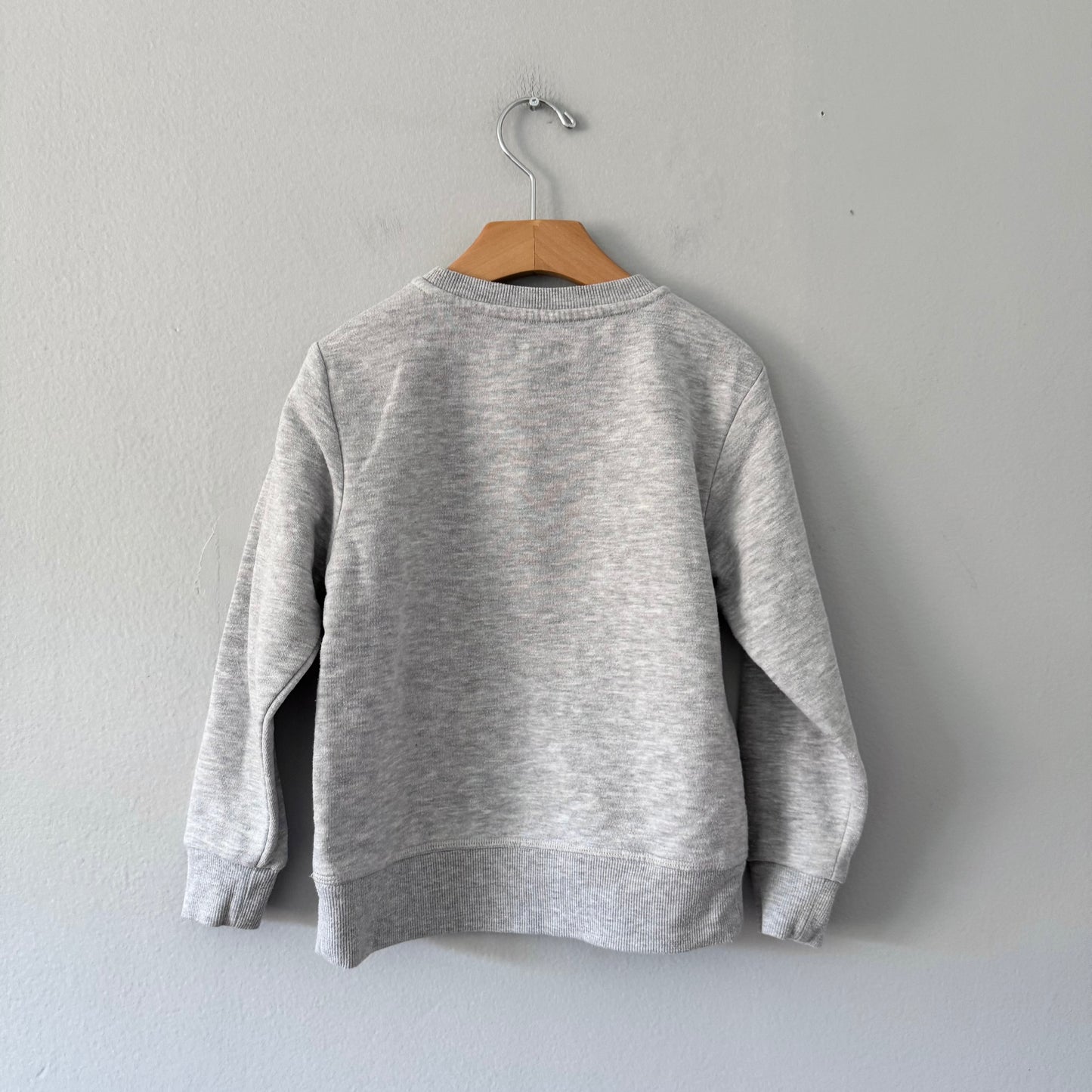 Champions / Light grey sweatshirt / 5T