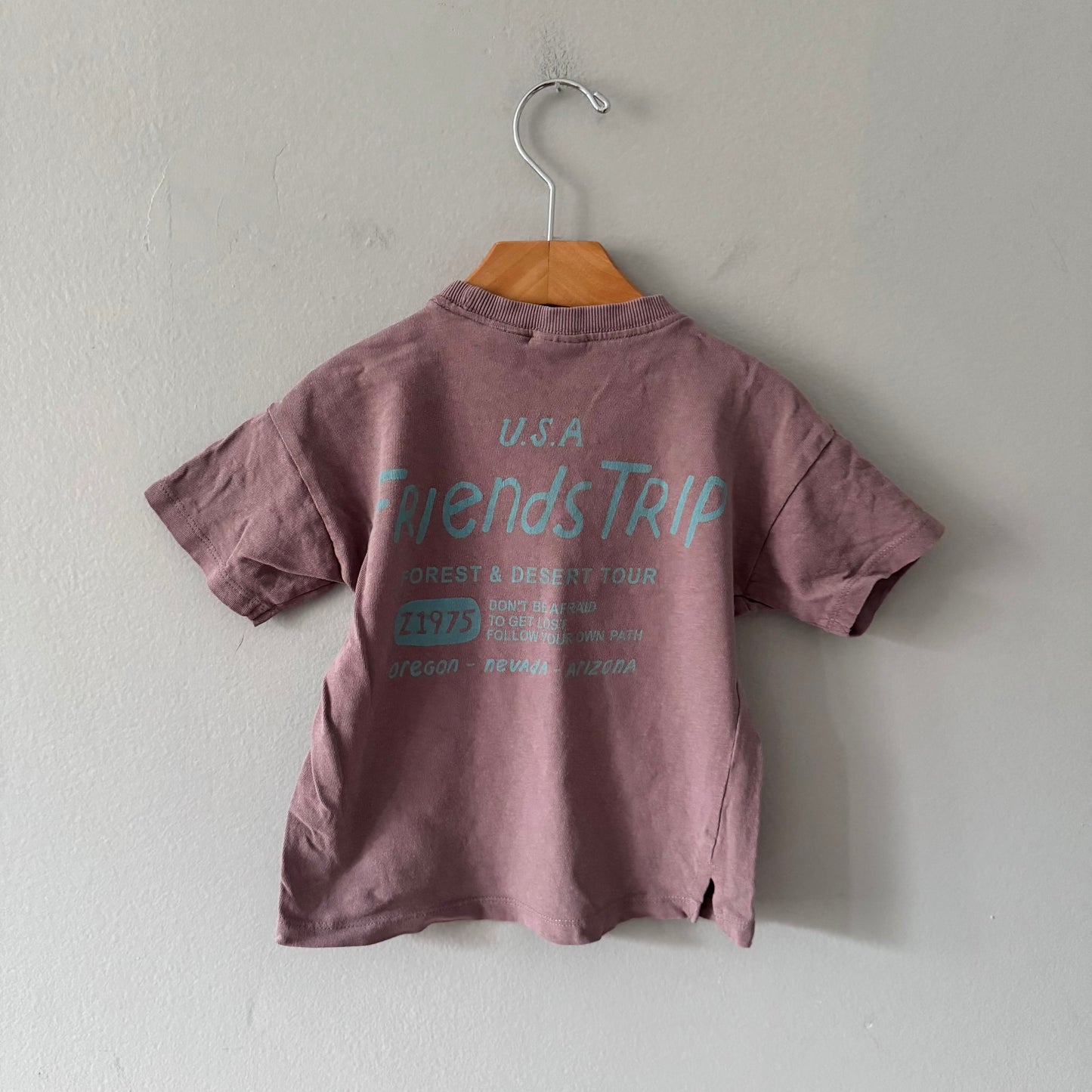 Zara / Brown USA friends trip T-shirt / 2-3Y