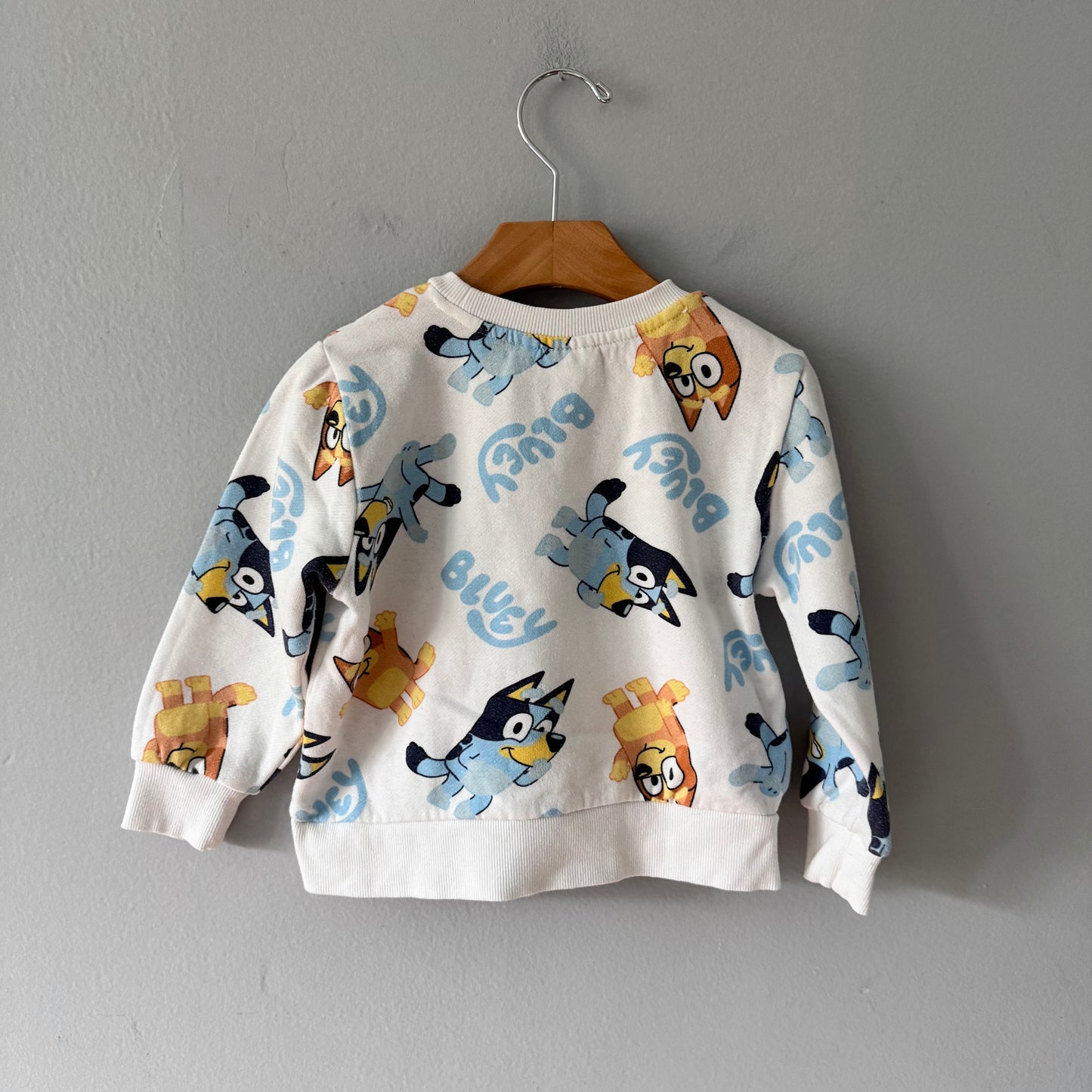 Bluey / White sweatshirt / 3T