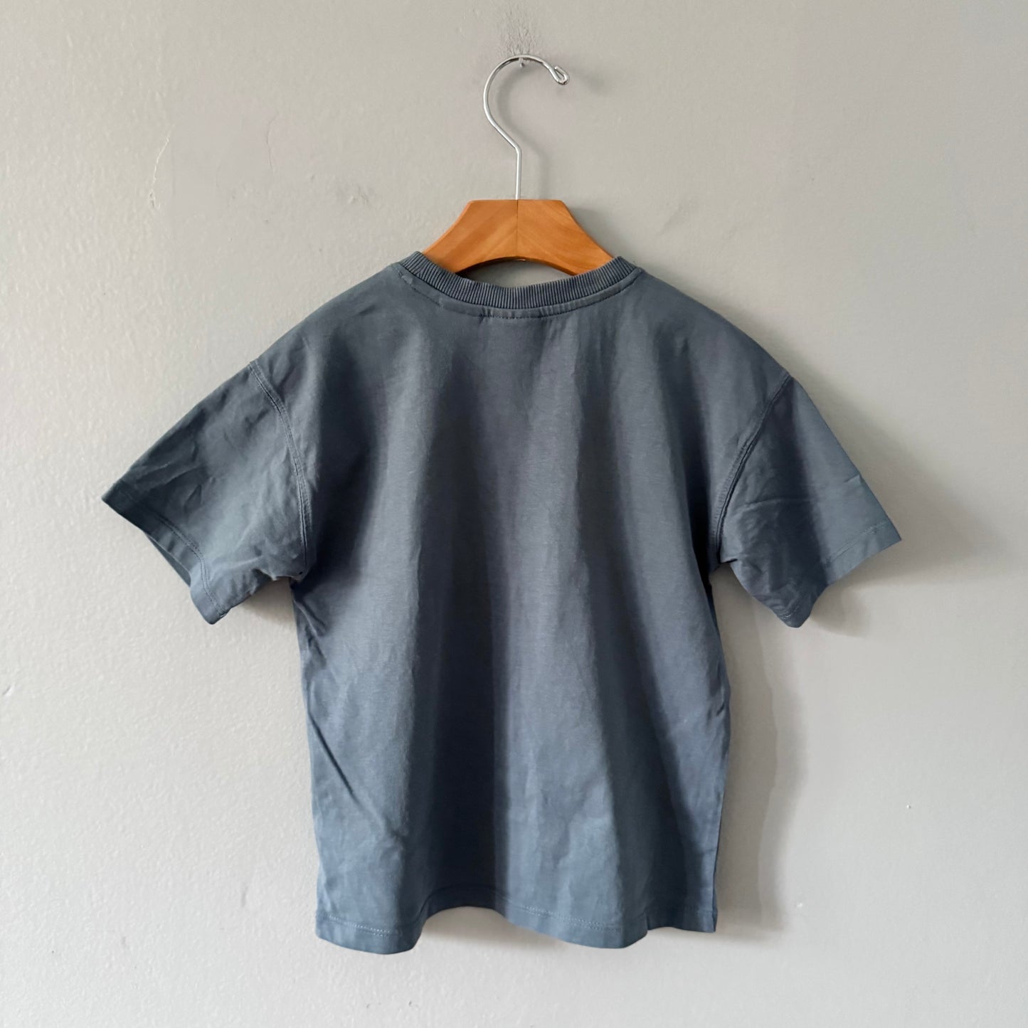 Zara / Smokey blue x dinosaur T-shirt / 5Y
