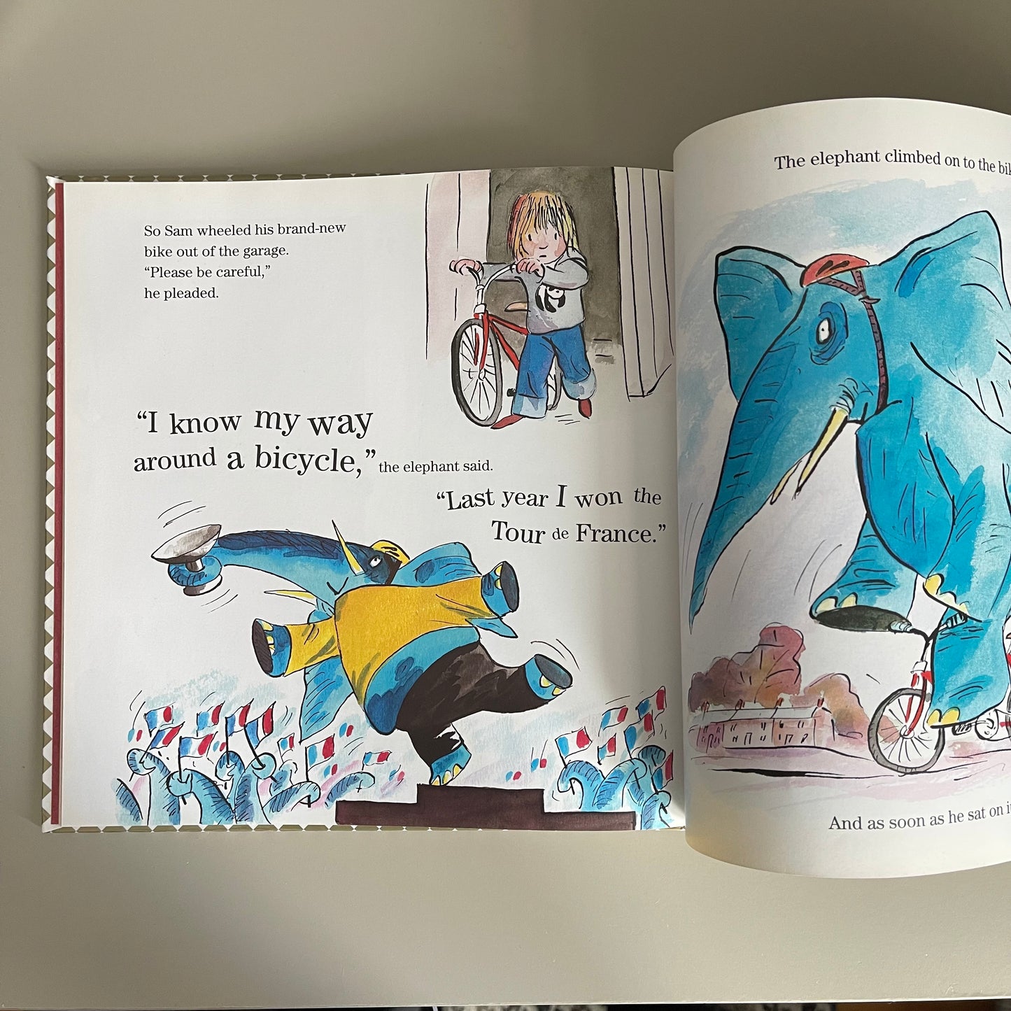 The Slightly Annoying Elephant / David Walliams