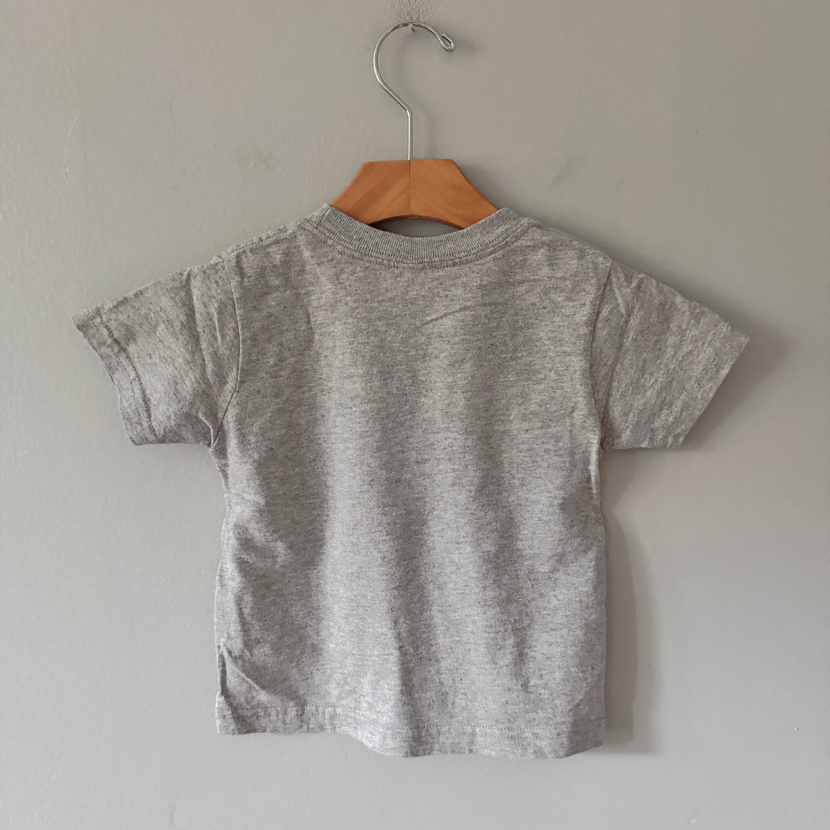 Rabbit skins / Llama x banana grey T-shirt / 3T