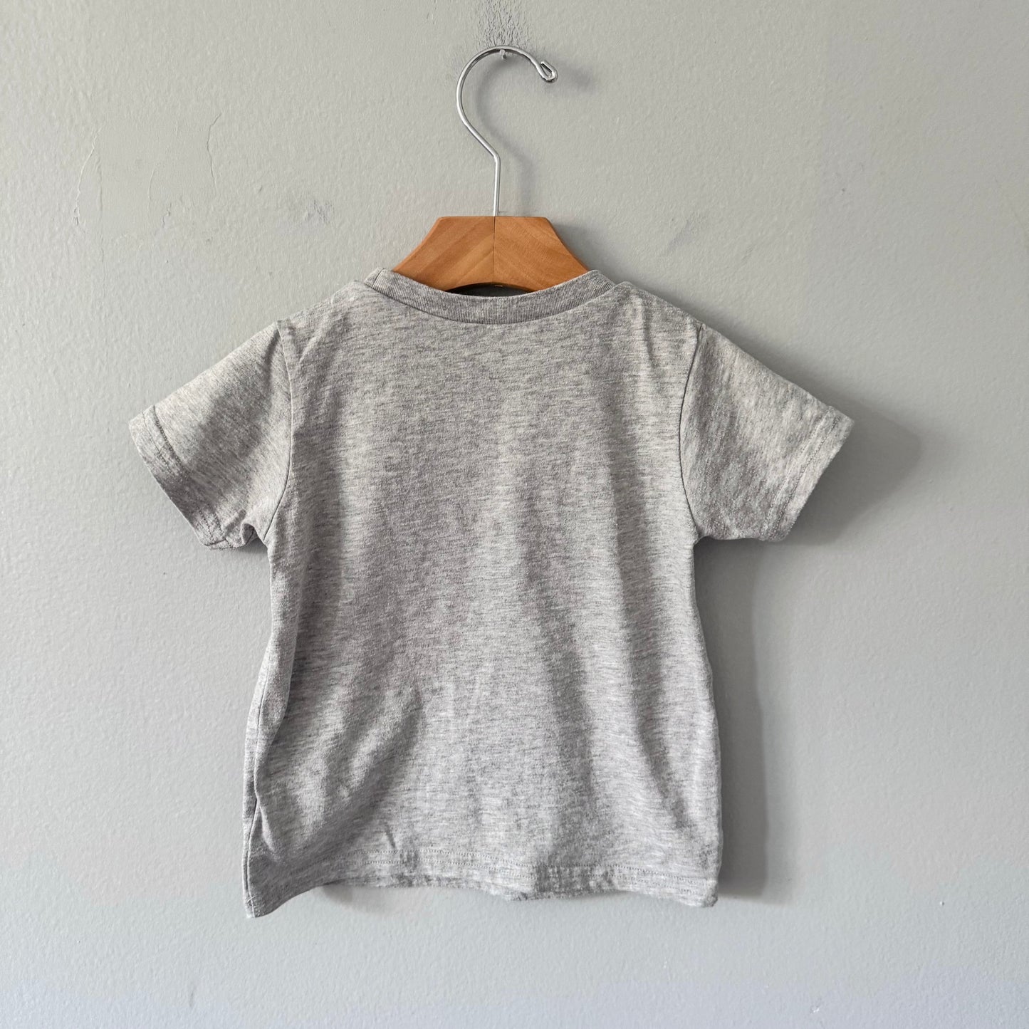 Hallmark / Light grey 2 T-shirt / 2T