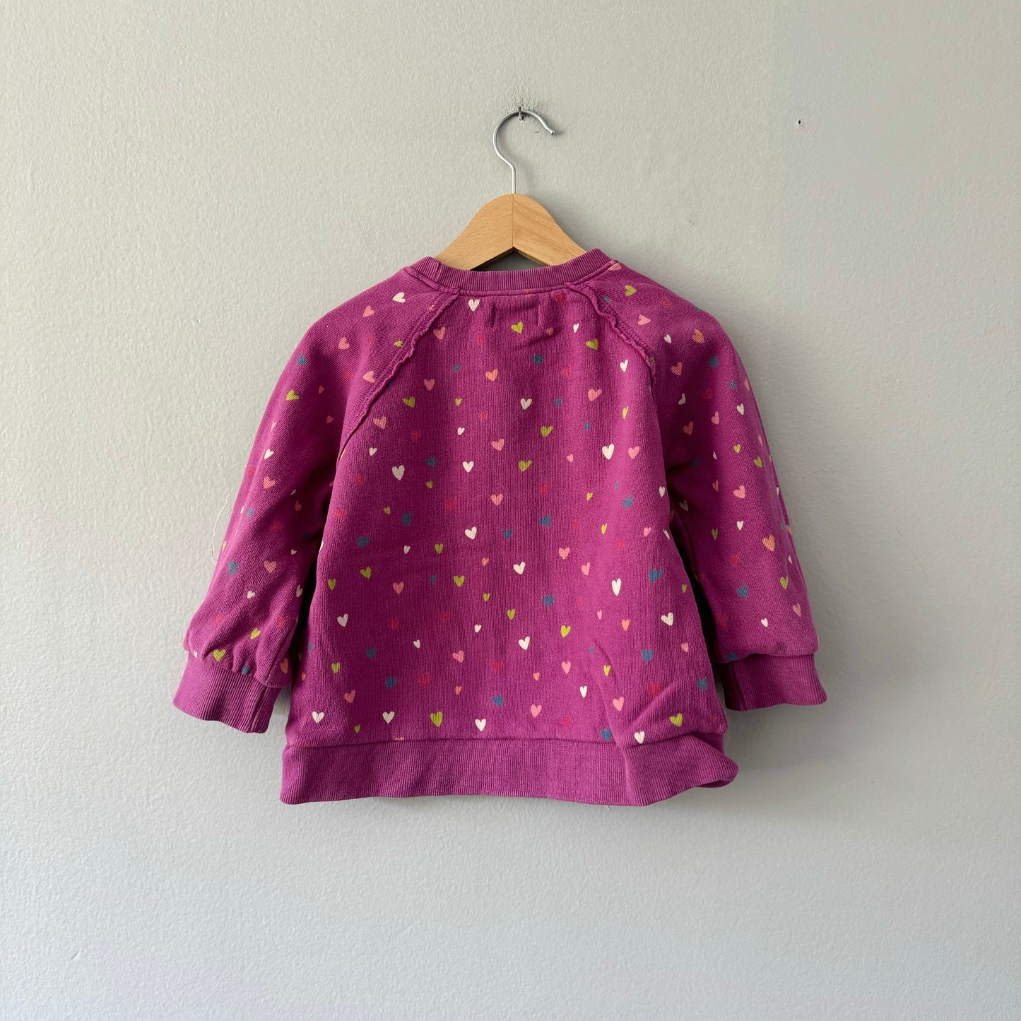 Hatley / Purple x hearts sweatshirt / 3Y