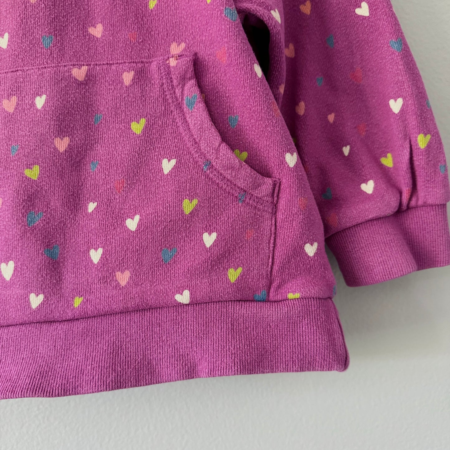 Hatley / Purple x hearts sweatshirt / 3Y