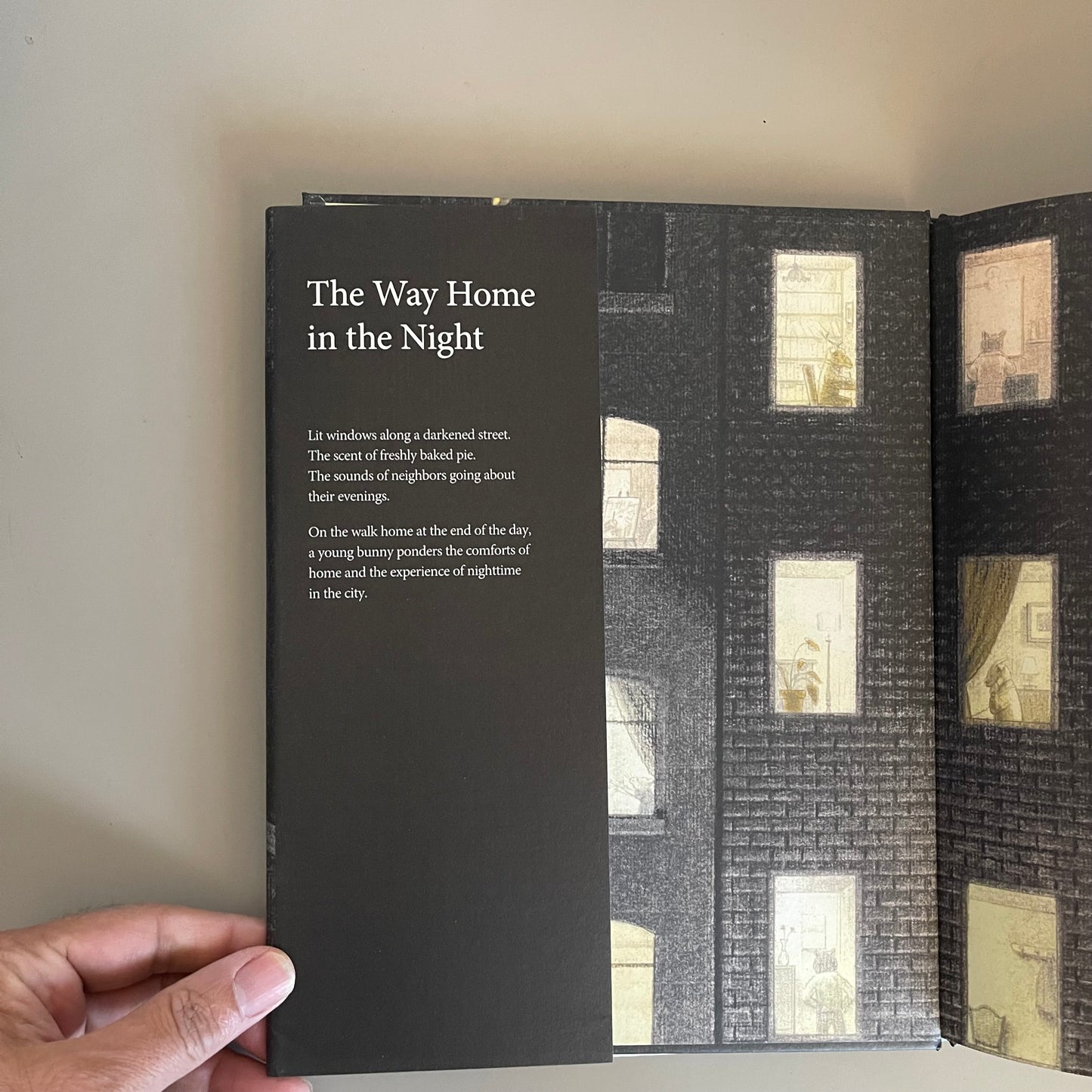 The Way Home in the Night / Akiko Miyakoshi
