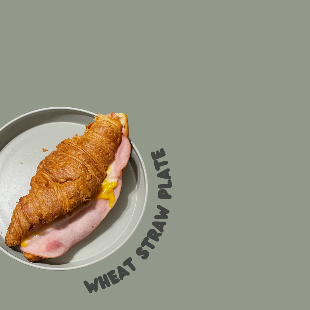 Minika / Wheat Straw Plate