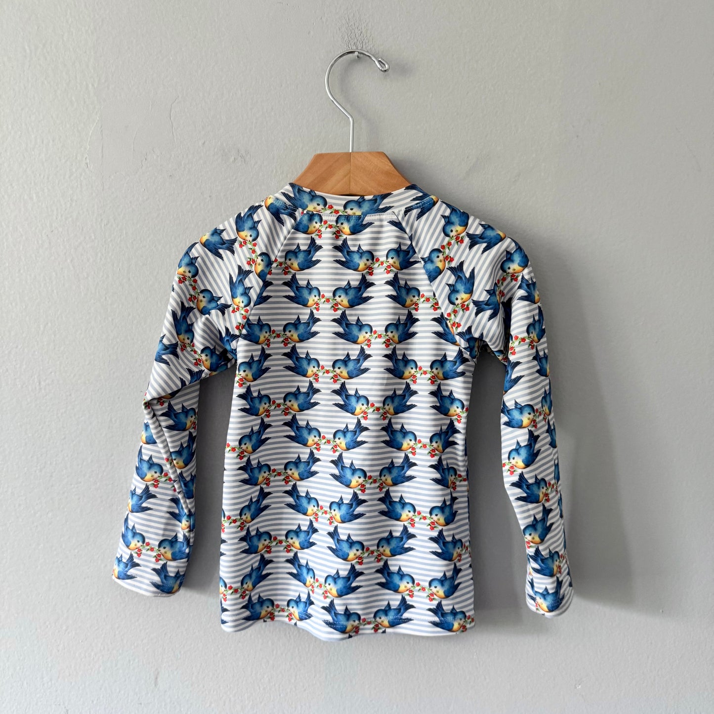 Paperwings / Rashguard / 3Y
