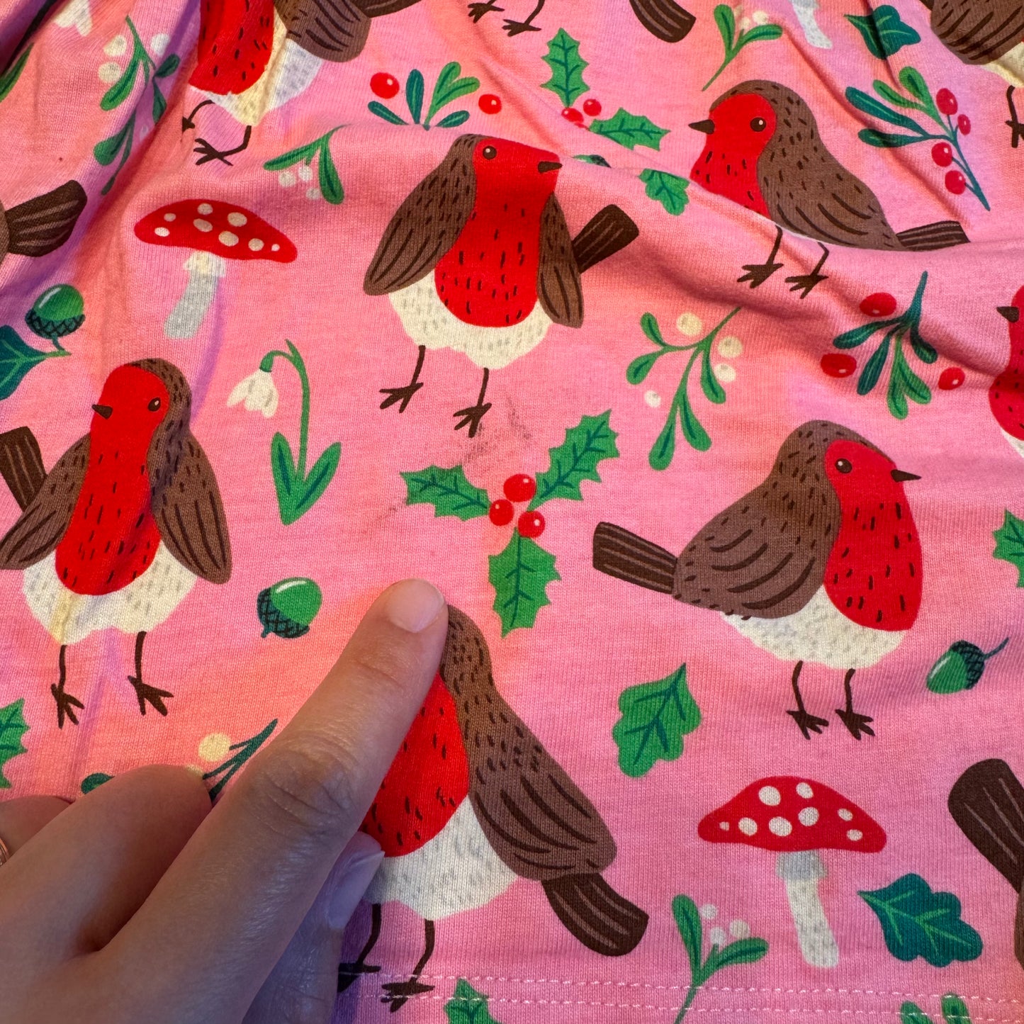 Mini Boden / Pink x bird & mushroom dress / 4-5Y