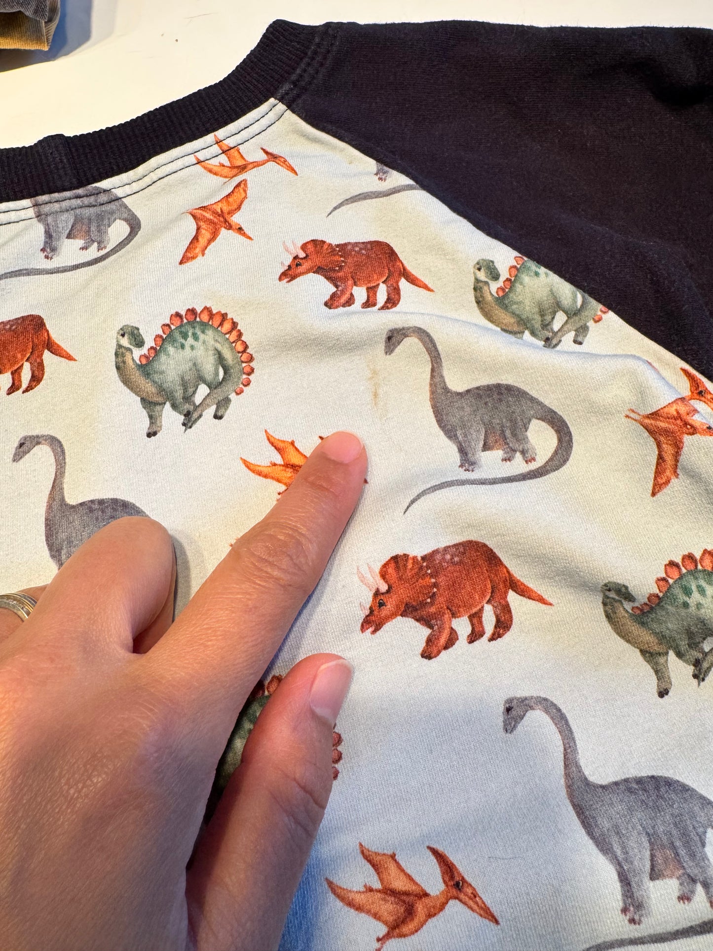 Wheat & Wild flower / Navy x dinosaur sweatshirt / 3-6T