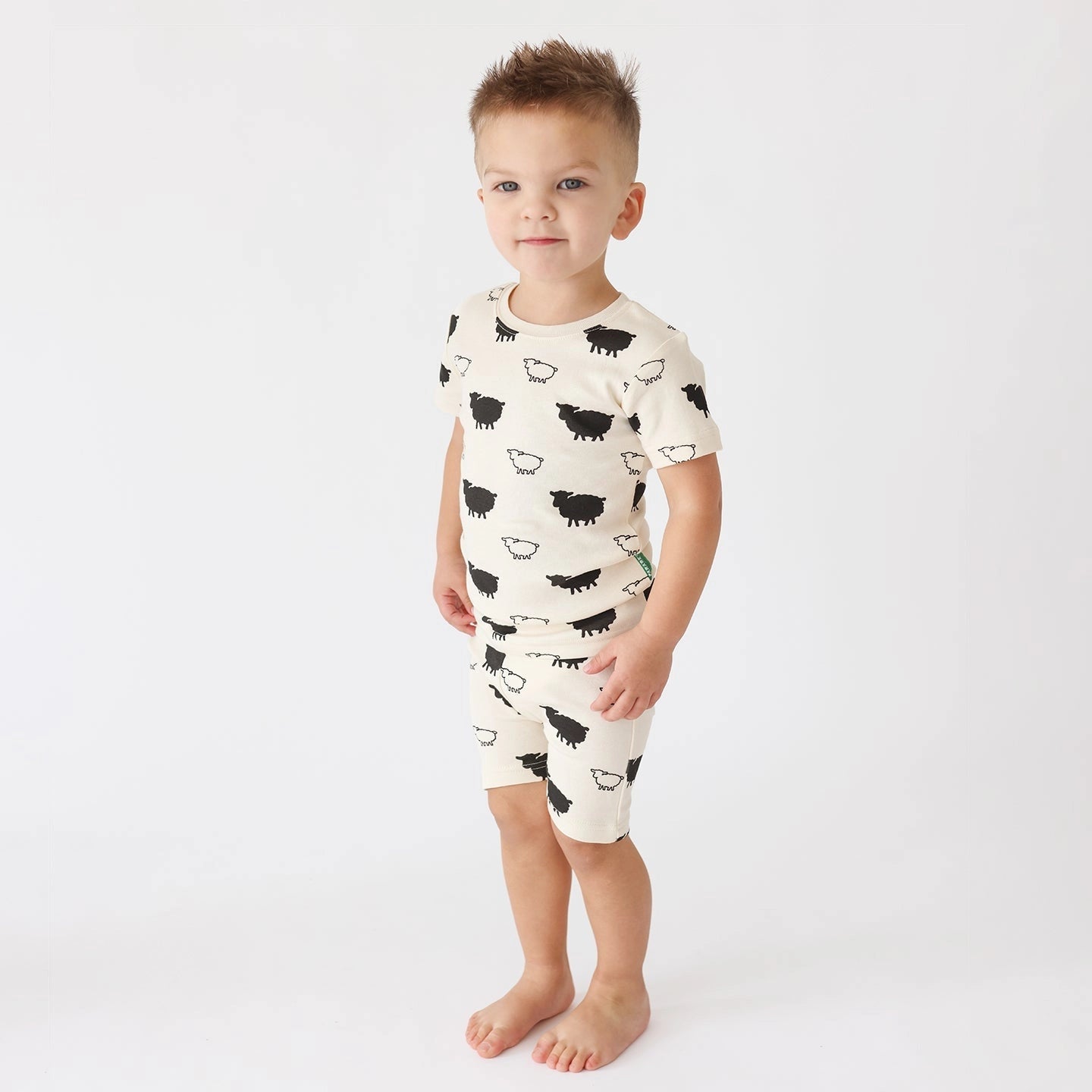 Parade Organics / "My Jammies" Organic Kids' Pajamas - Short 5/6 Years, Sheep