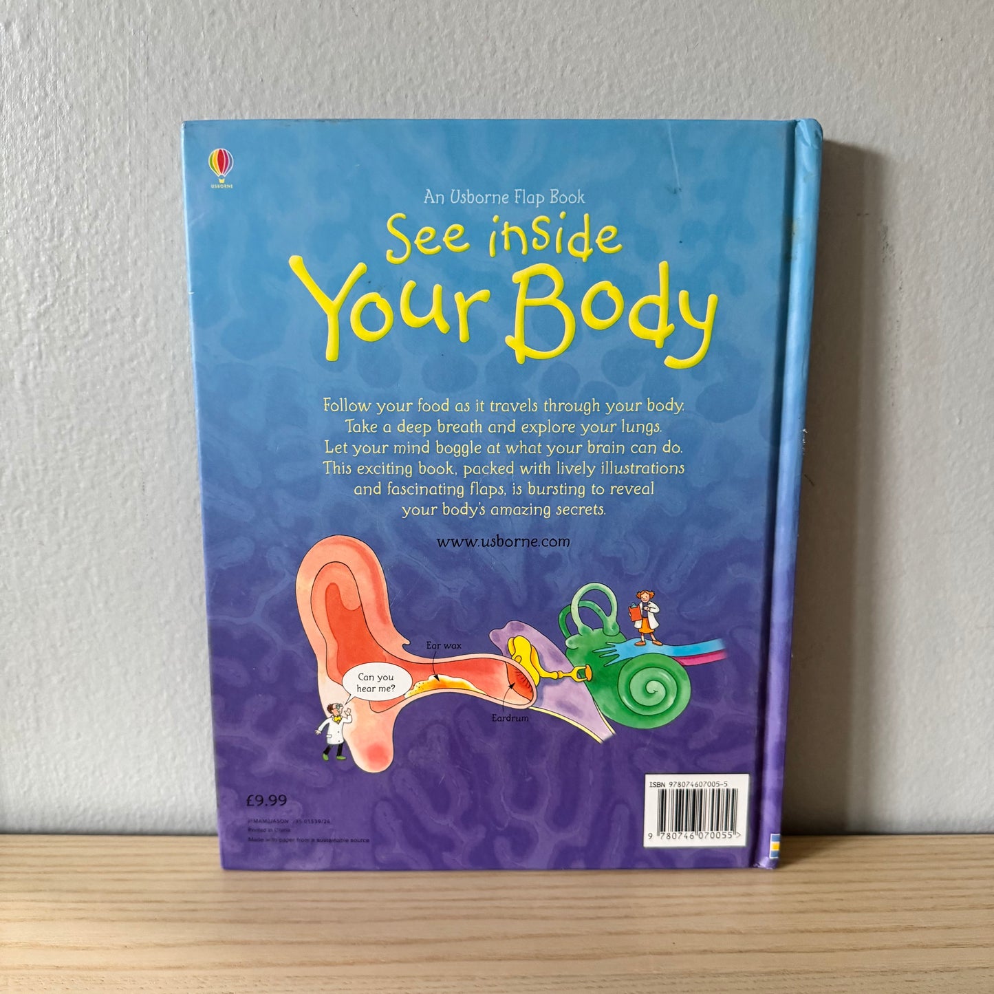 Usborne Flap Book - See inside Your Body