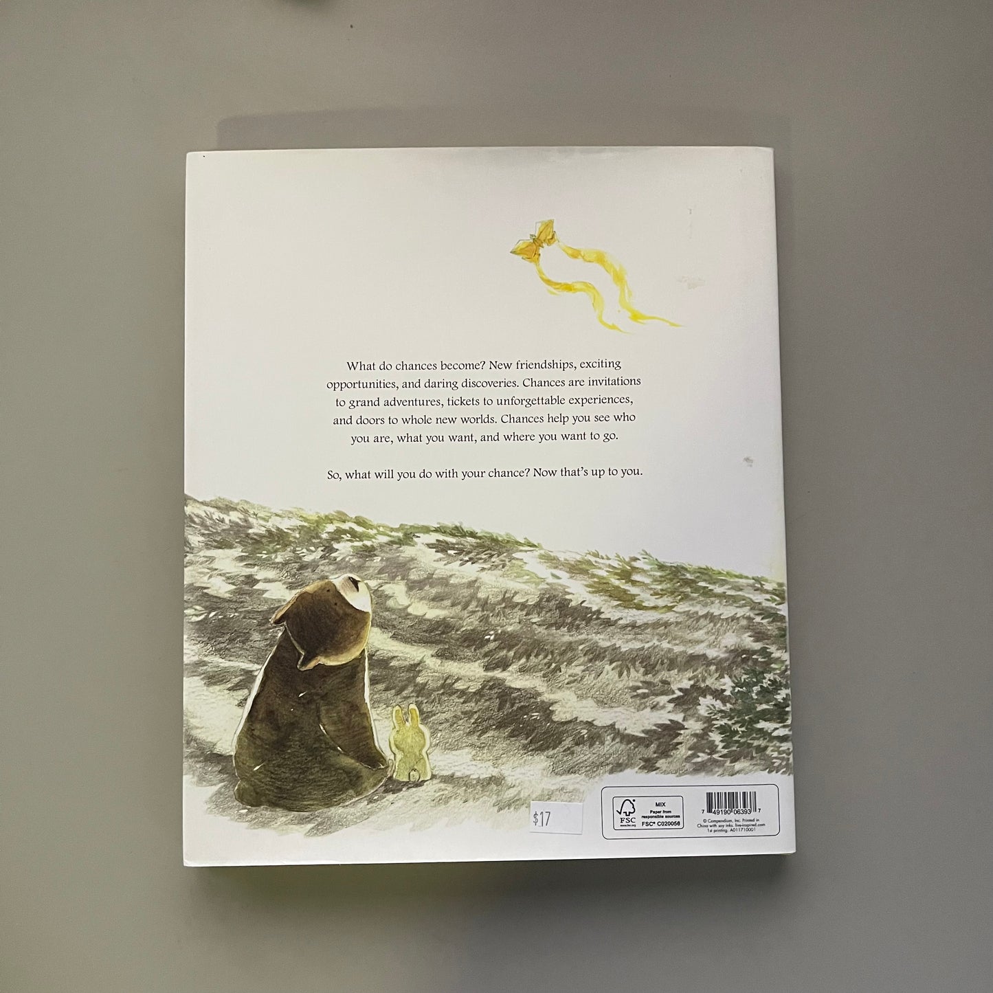 What Do You Do With A Chance? / Kobi Yamada