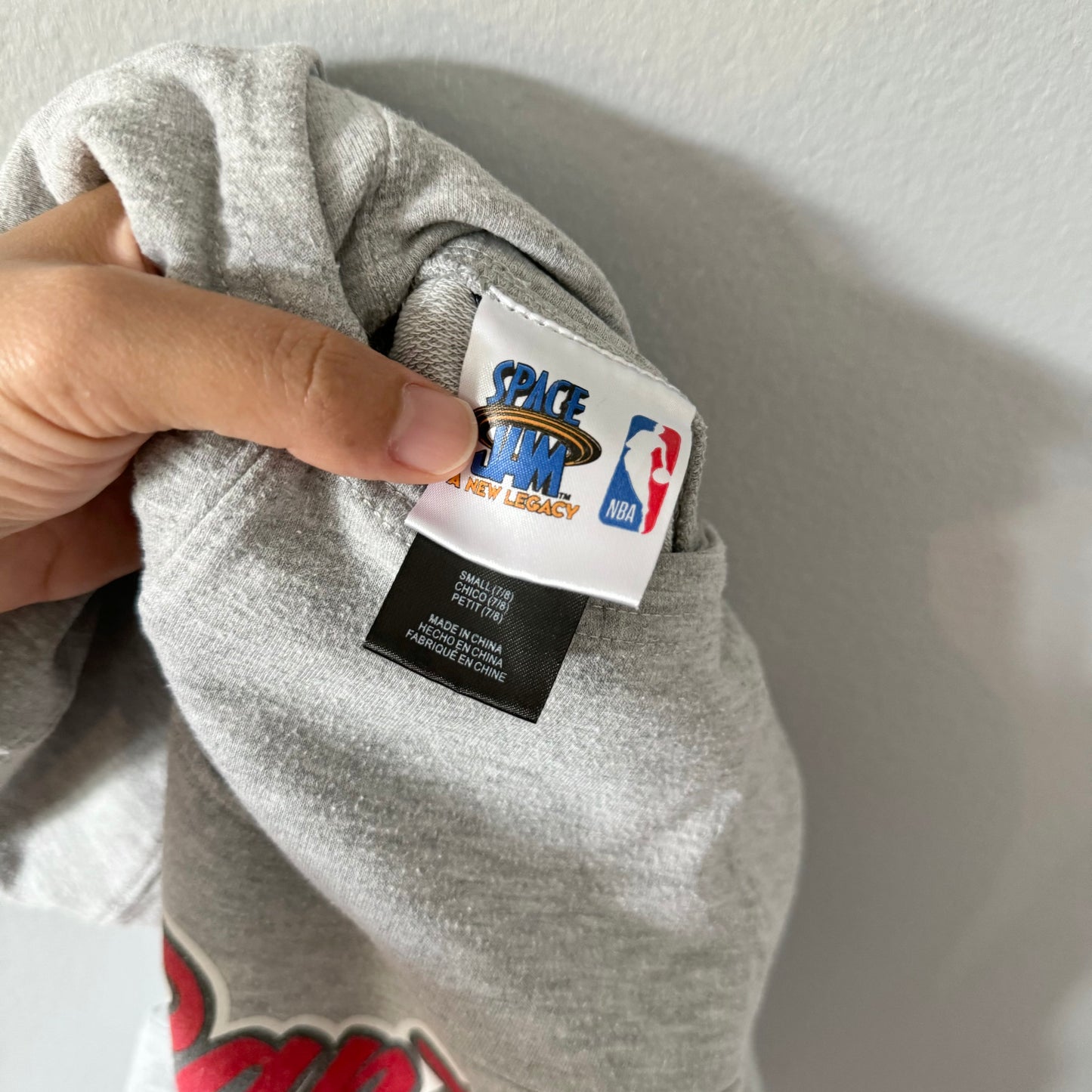 NBA / Toronto Raptors x Space Jam light grey hoodie / 7-8Y