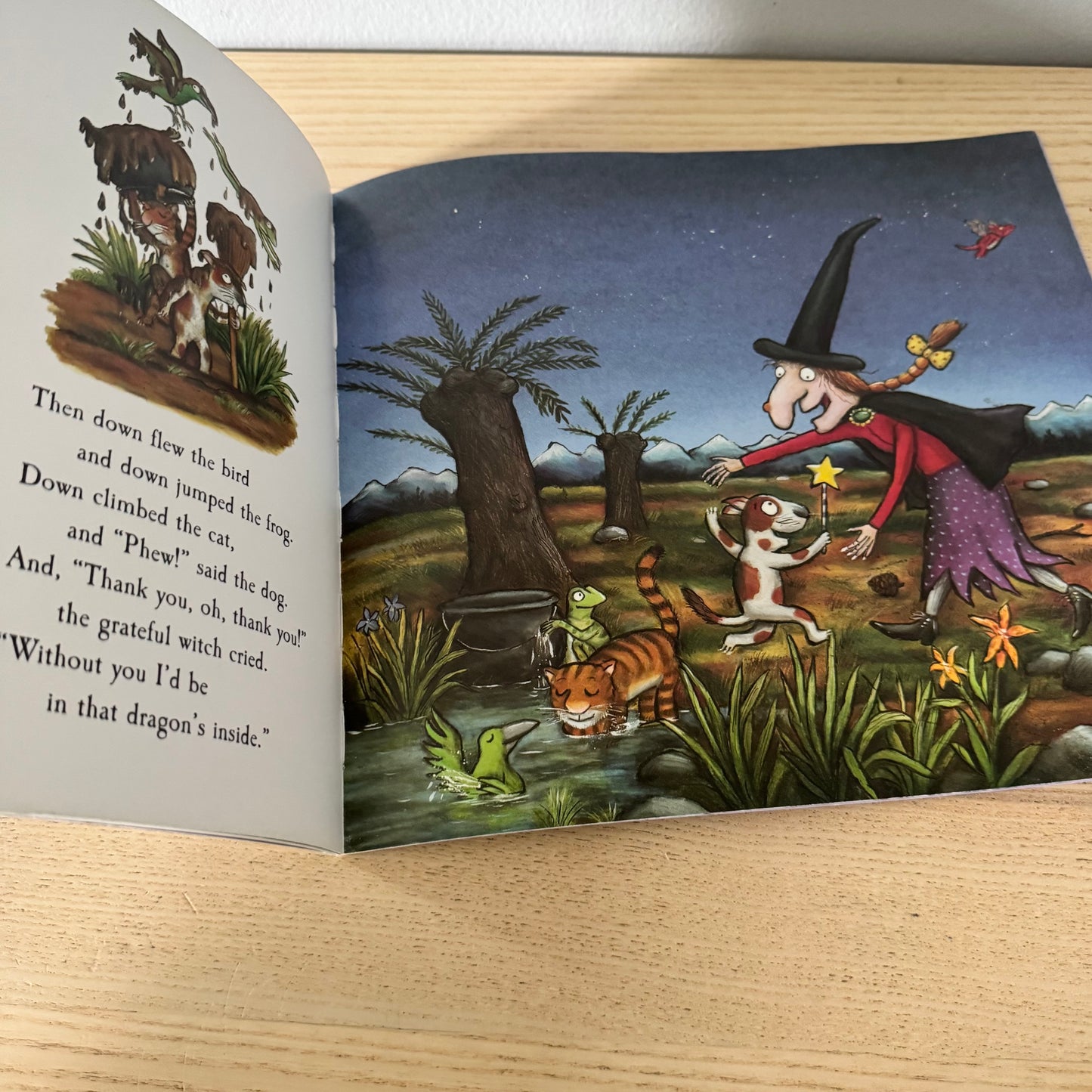 Room on the Broom / Julia Donaldson & Axel Schefler
