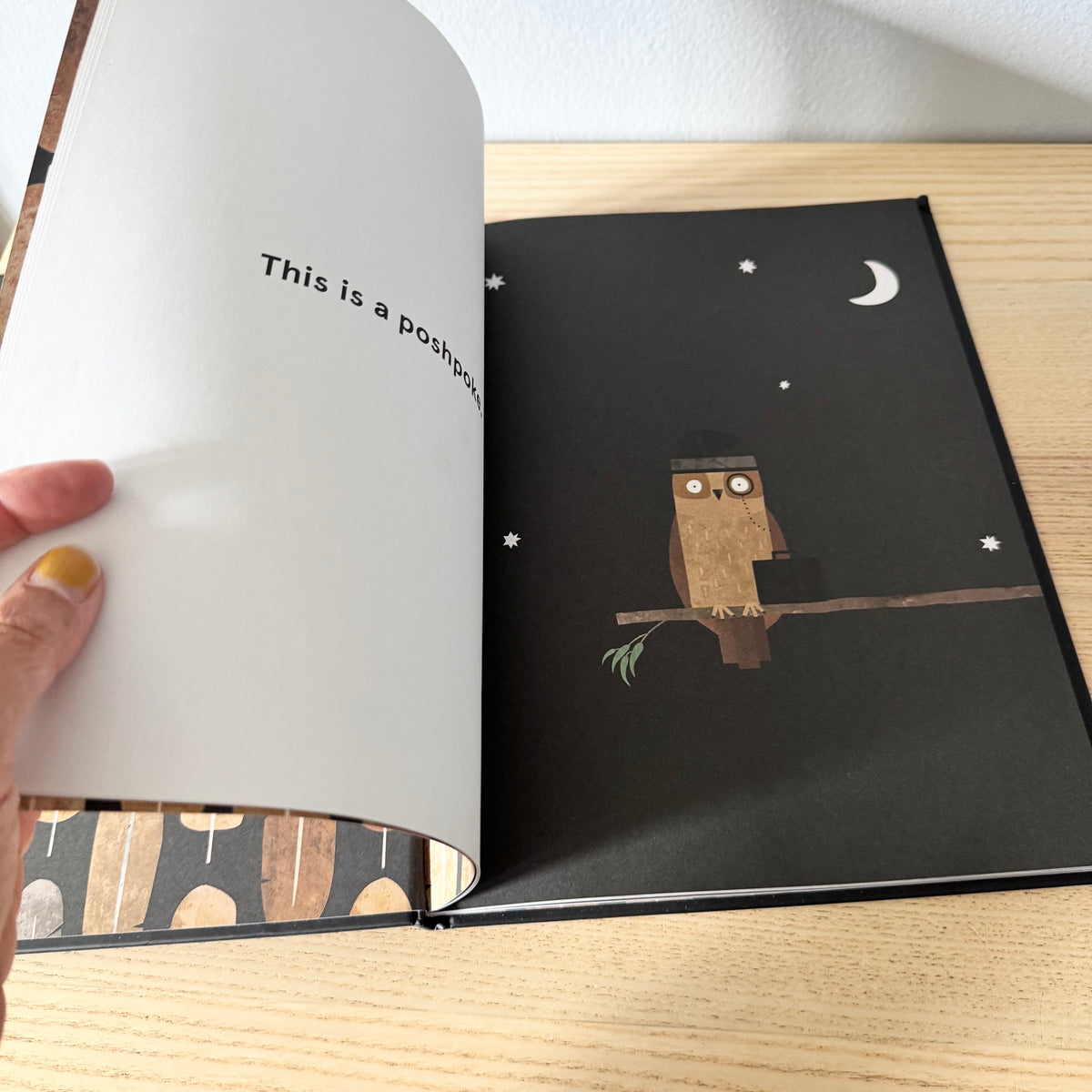 Mopoke. / Philip Bunting