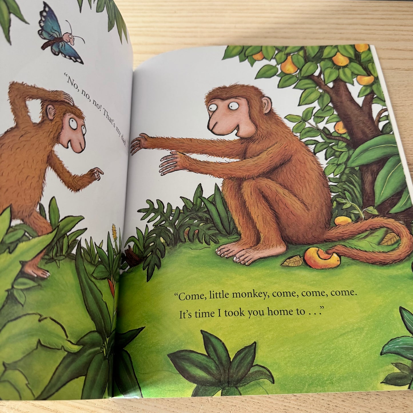 Monkey Puzzle / Julia Donaldson & Axel Scheffler